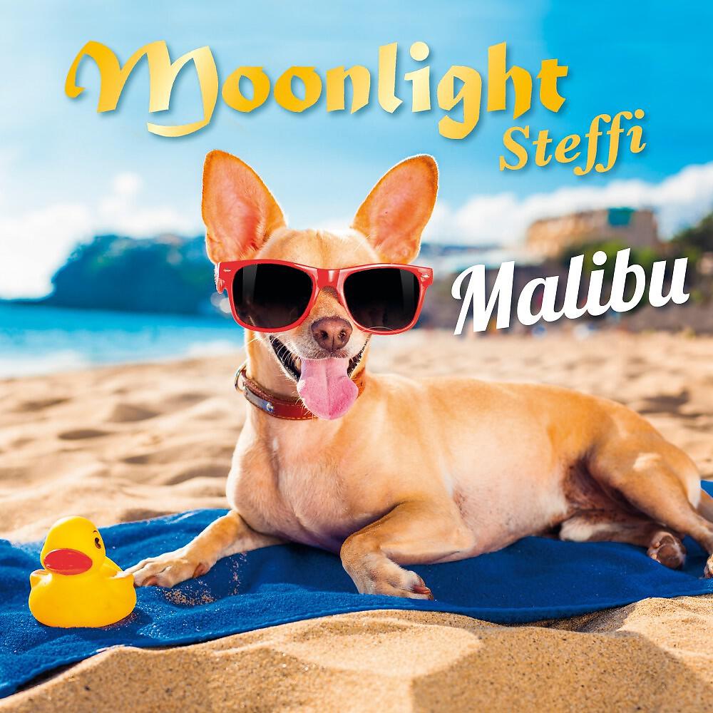 Релиз Malibu