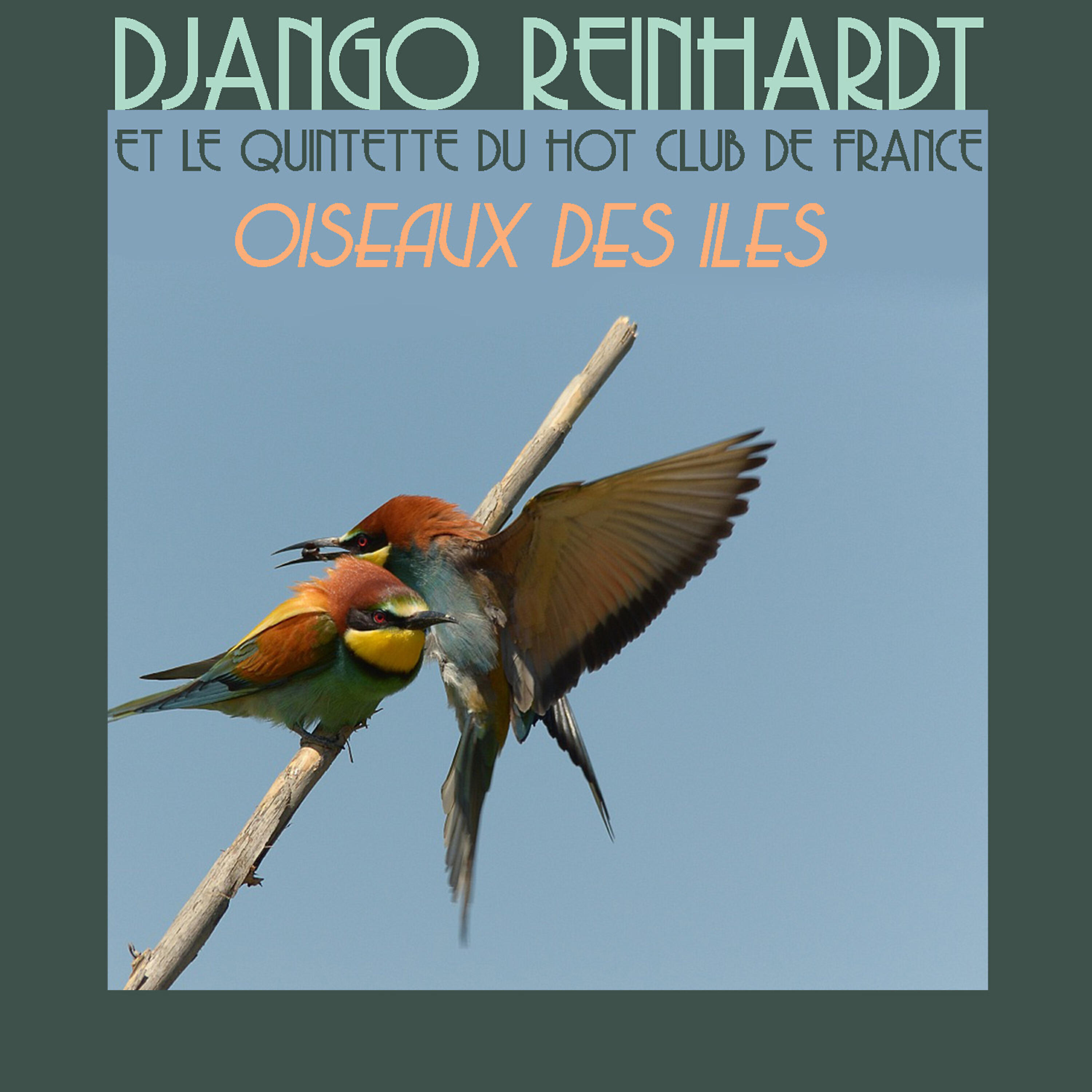 Релиз Oiseaux Des Iles