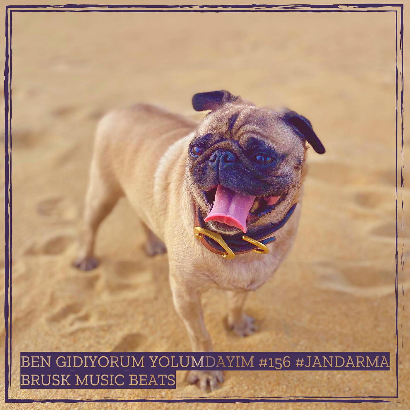 Релиз Ben Gidiyorum Yolumdayim #156 #Jandarma
