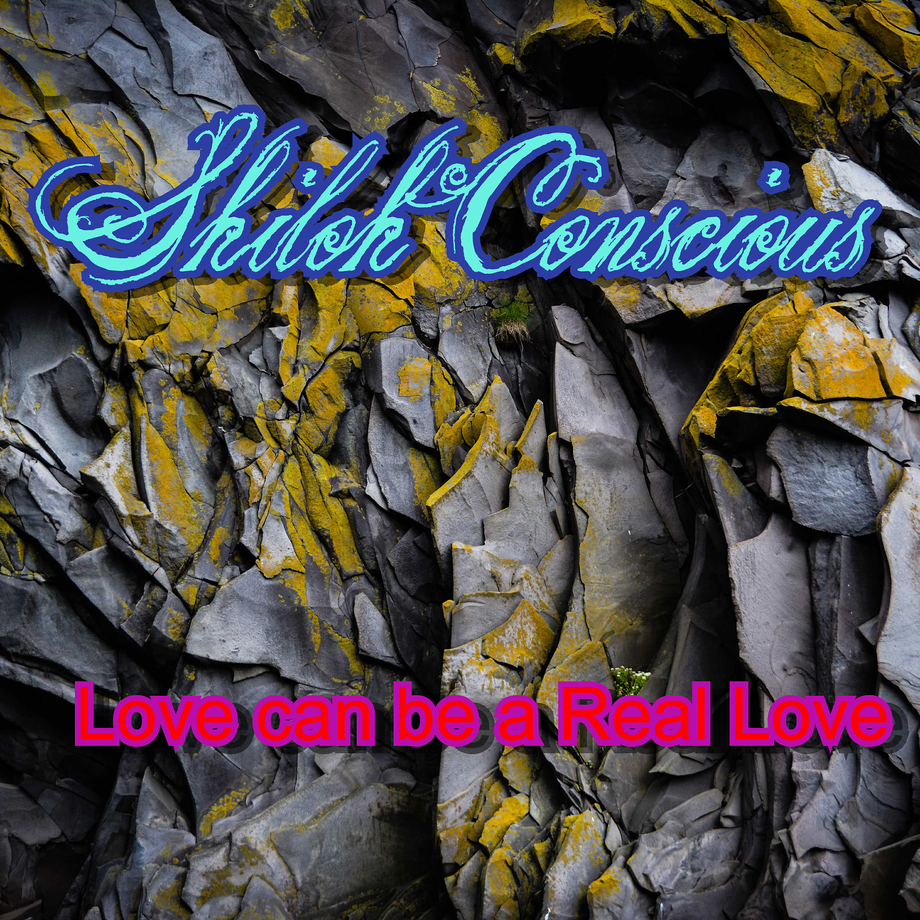 Shiloh Conscious