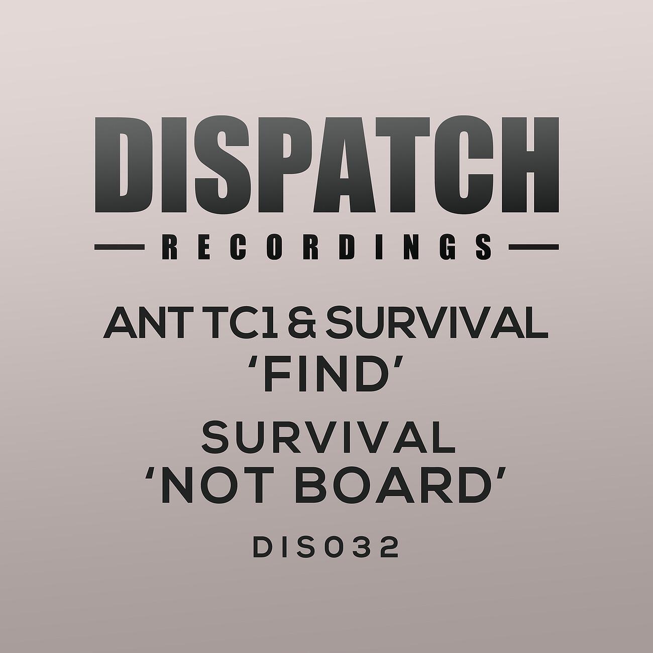 Релиз Find / Not Board