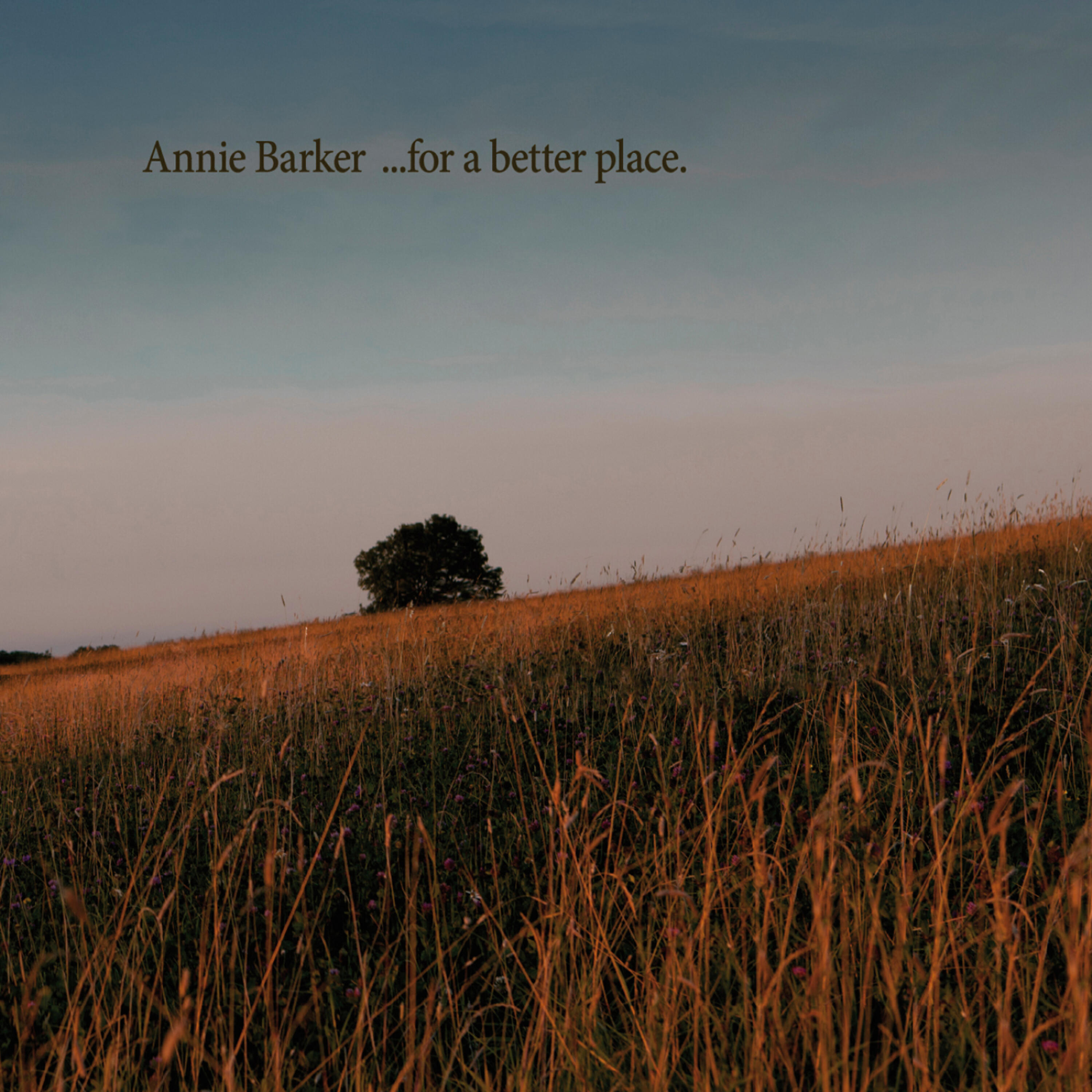 Релиз For a Better Place