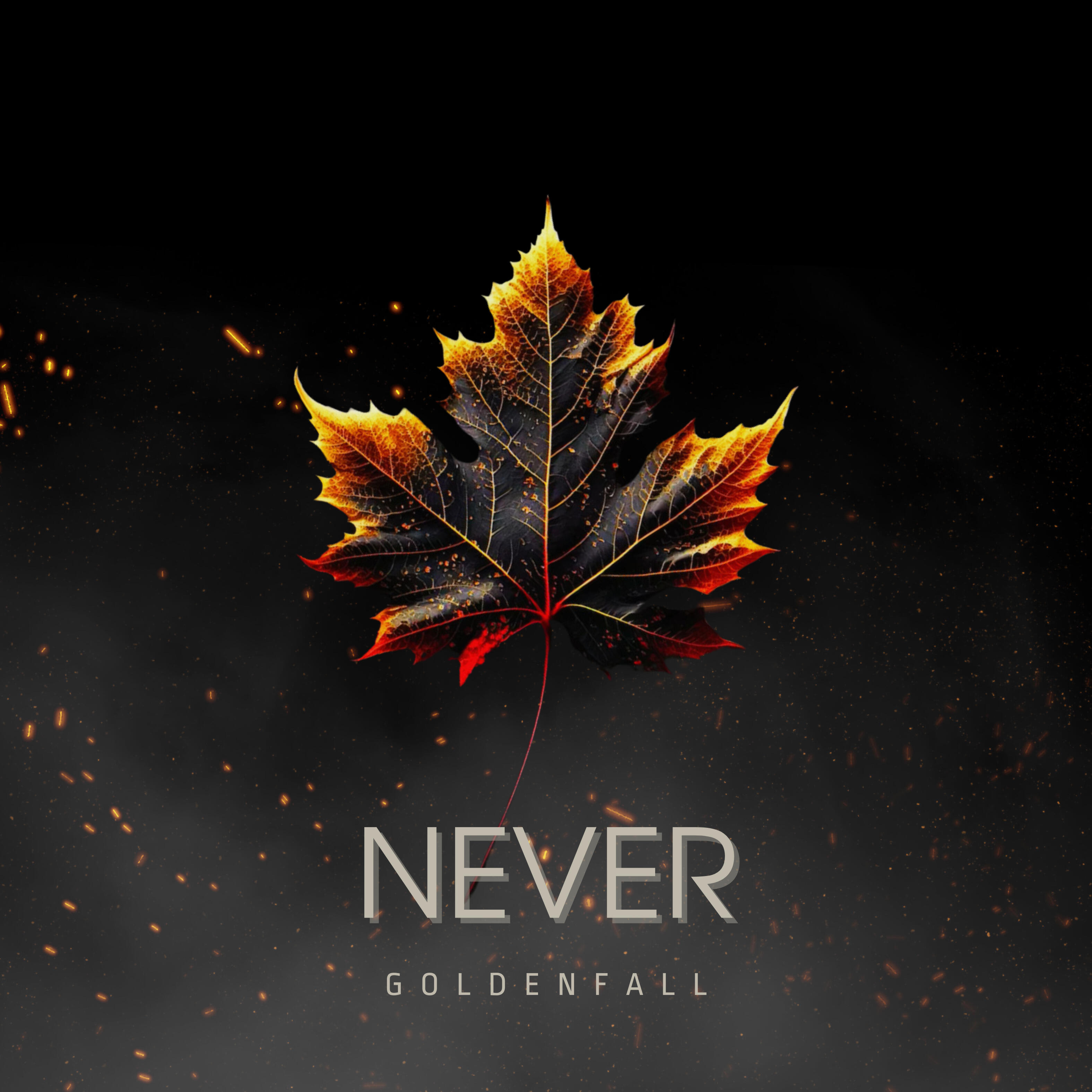 Релиз Never