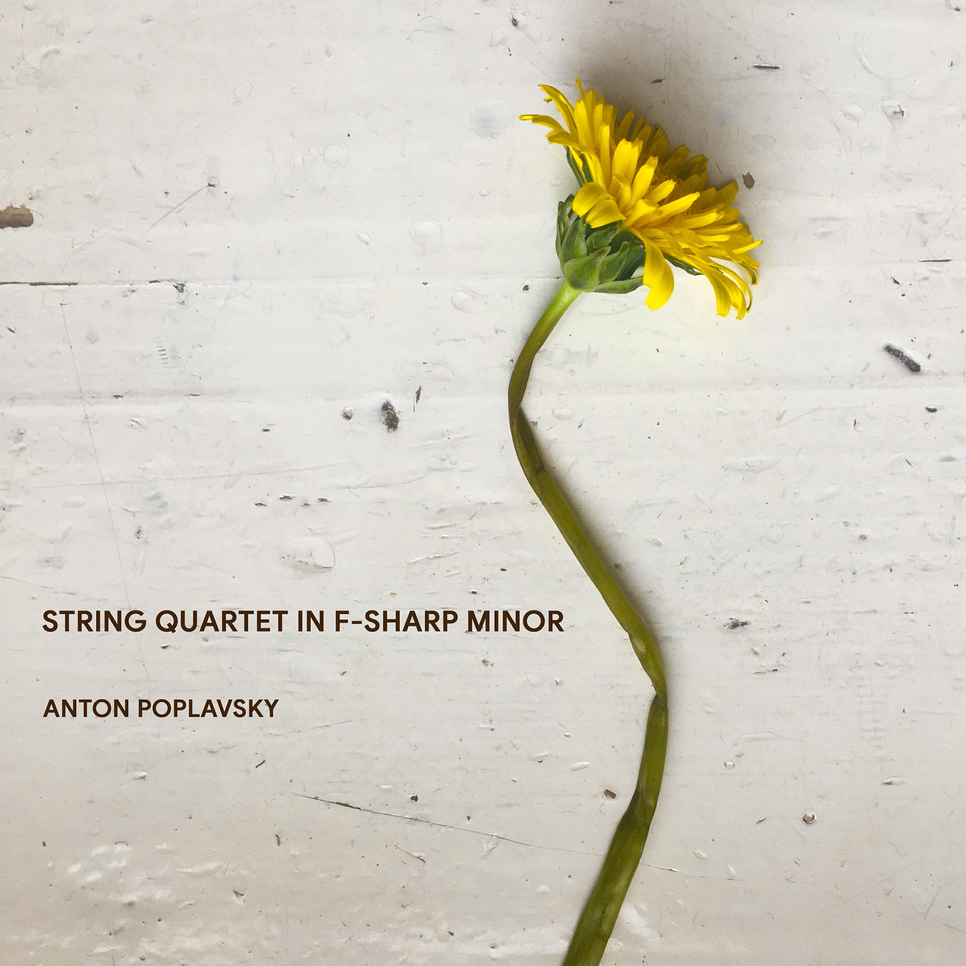 Релиз String Quartet in F-Sharp Minor