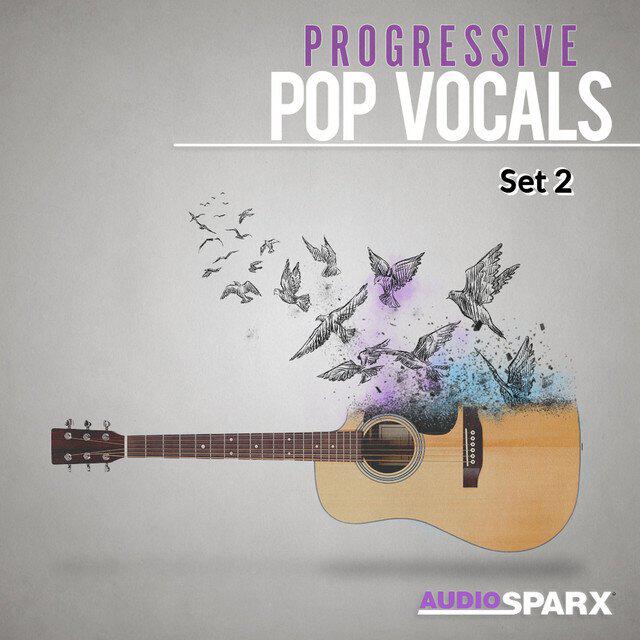 Релиз Progressive Pop Vocals, Set 2