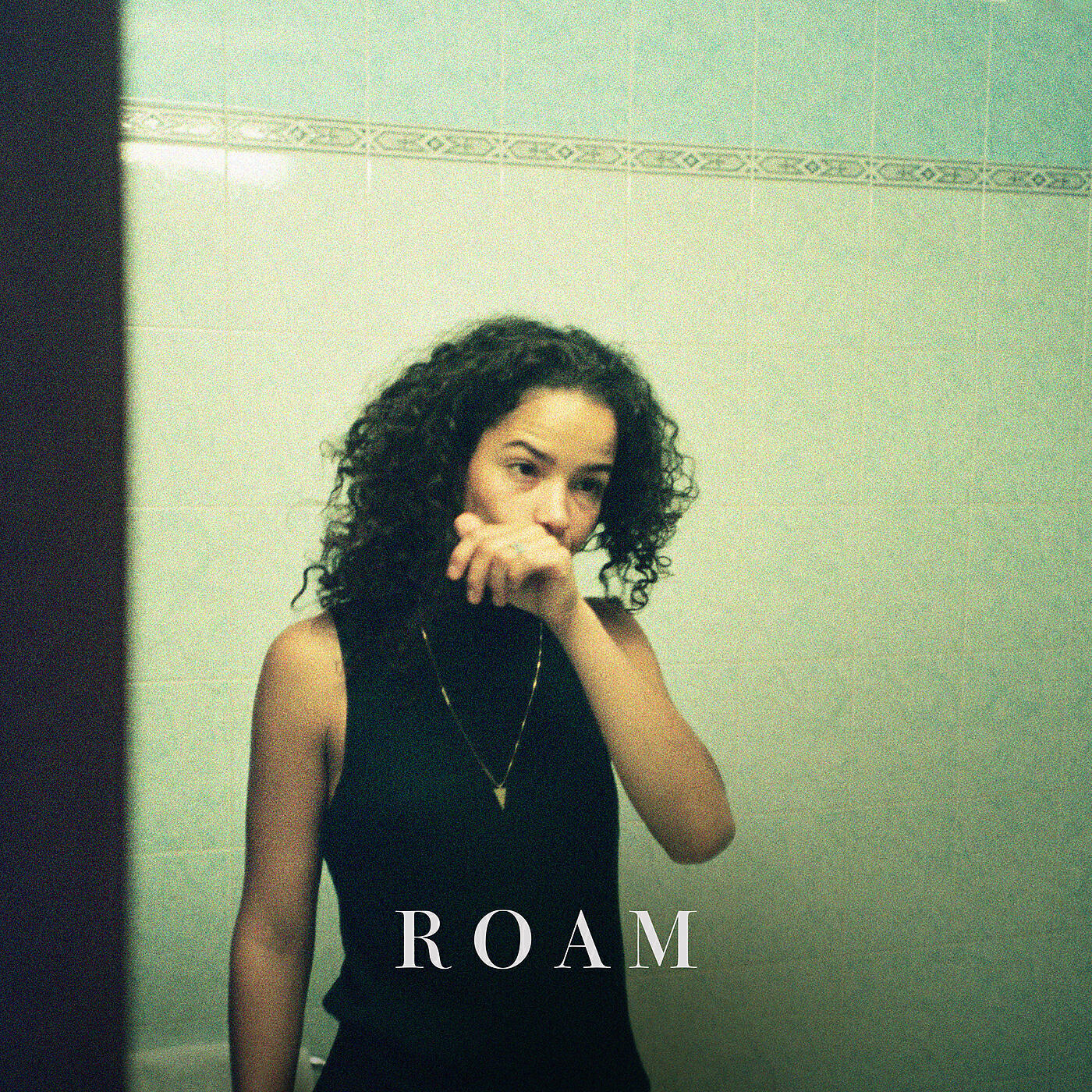 Релиз Roam