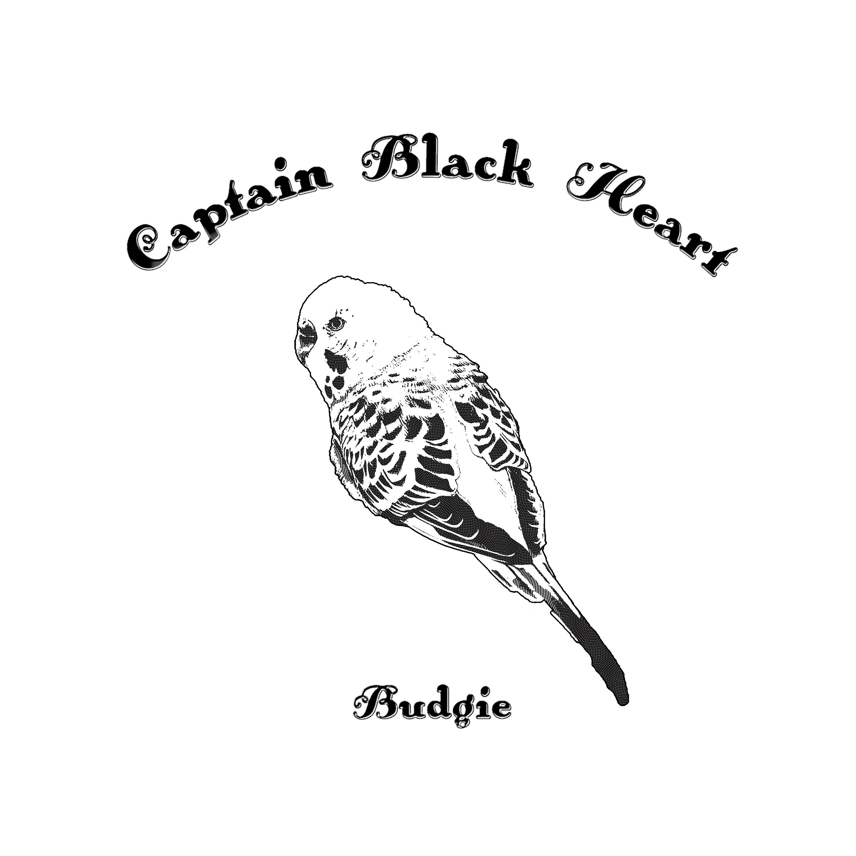 Релиз Budgie (Instrumentals)