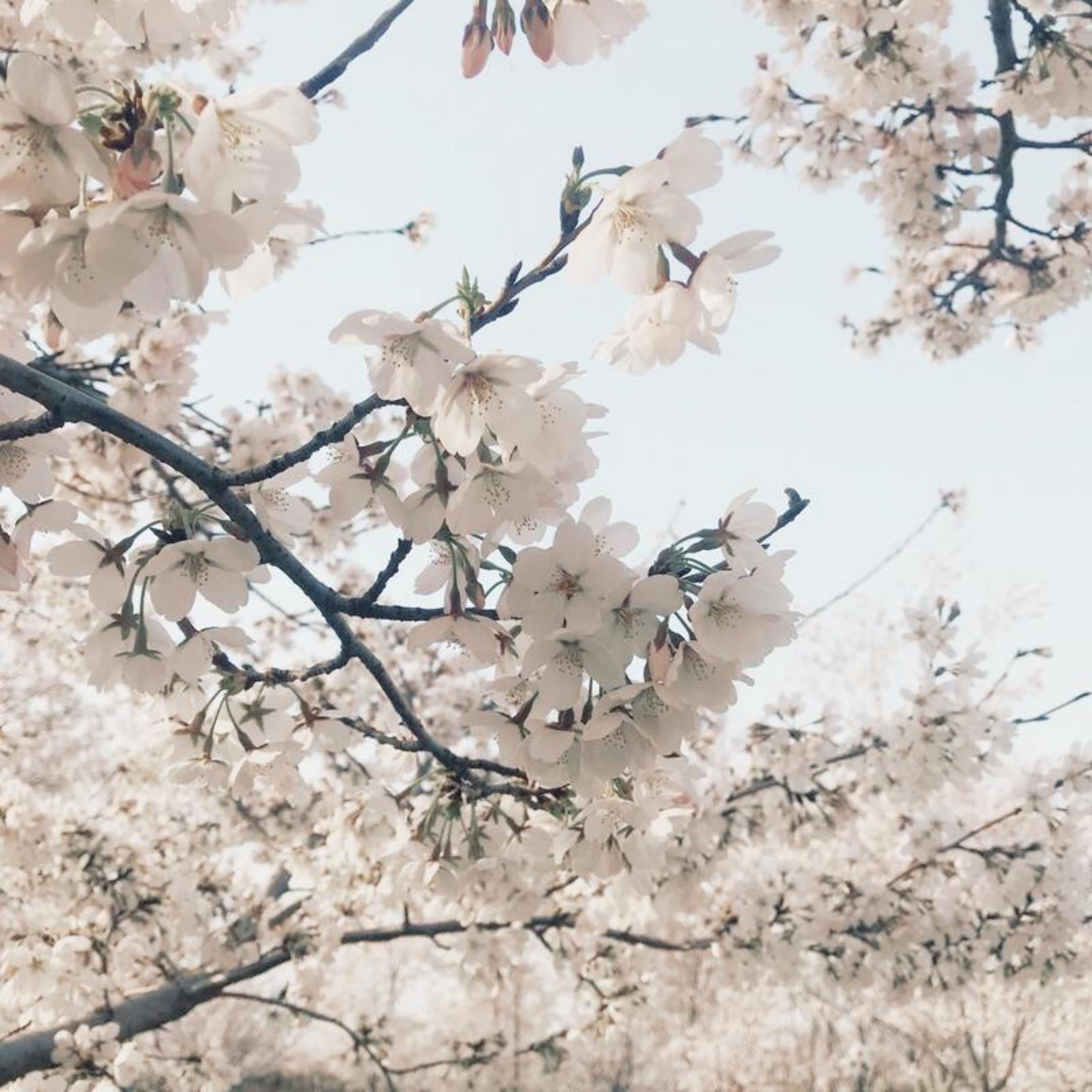 Релиз 未来也一起吧