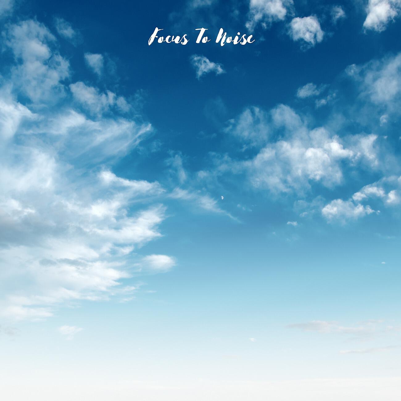 Релиз Focus To Noise