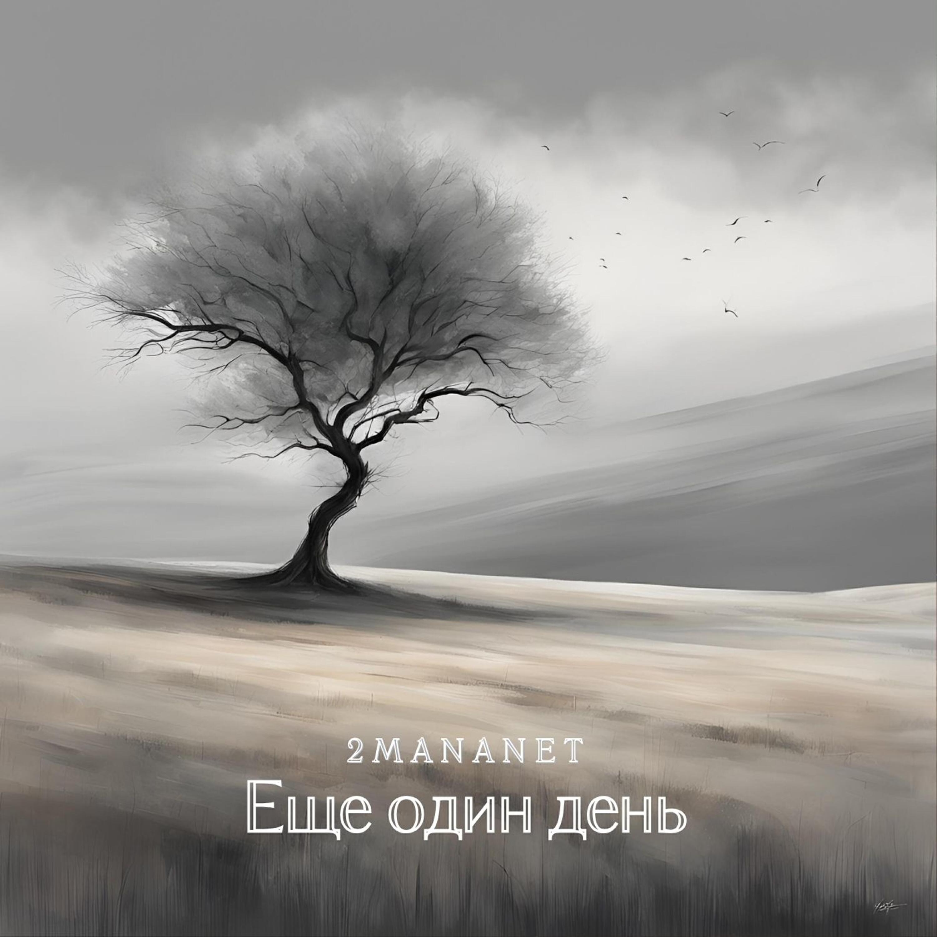 2manAnet