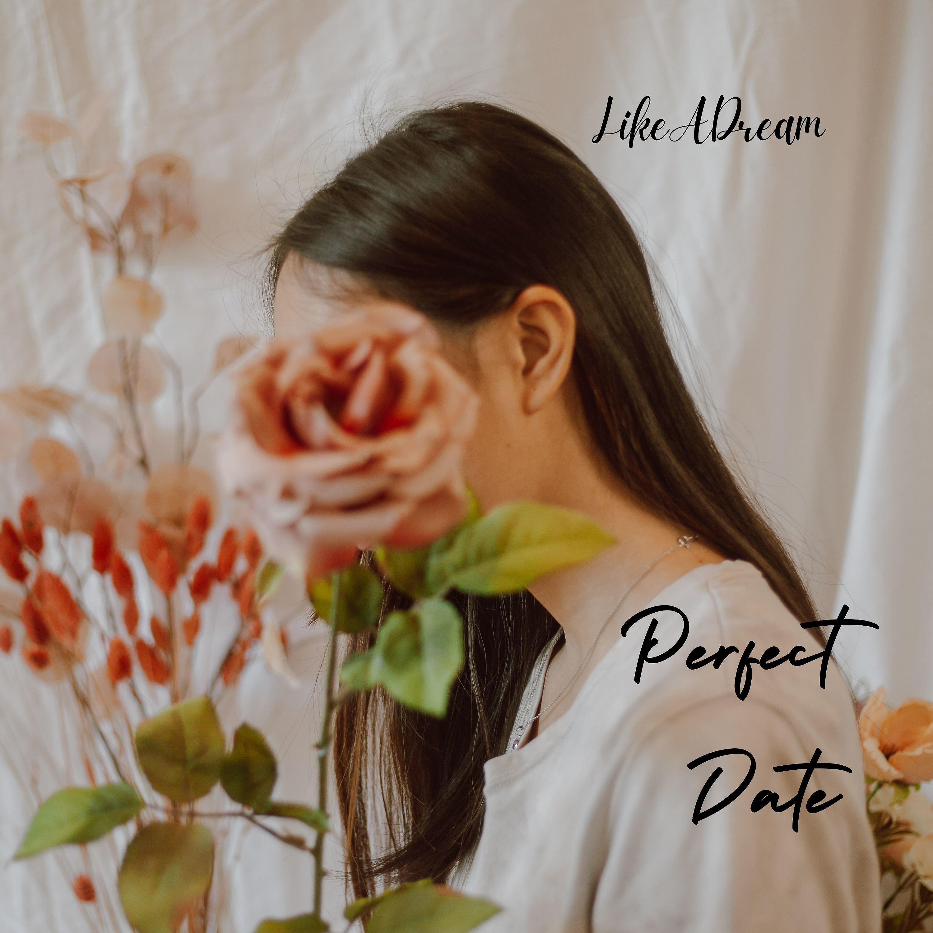 Релиз Perfect Date