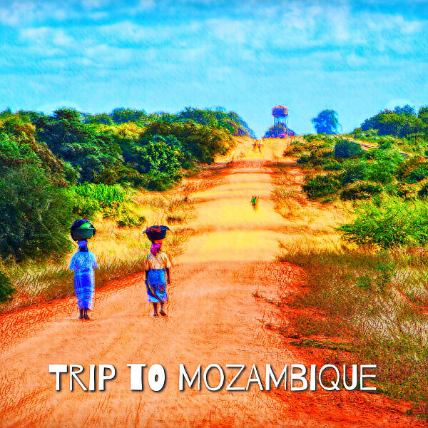 Трек Trip to Mozambique