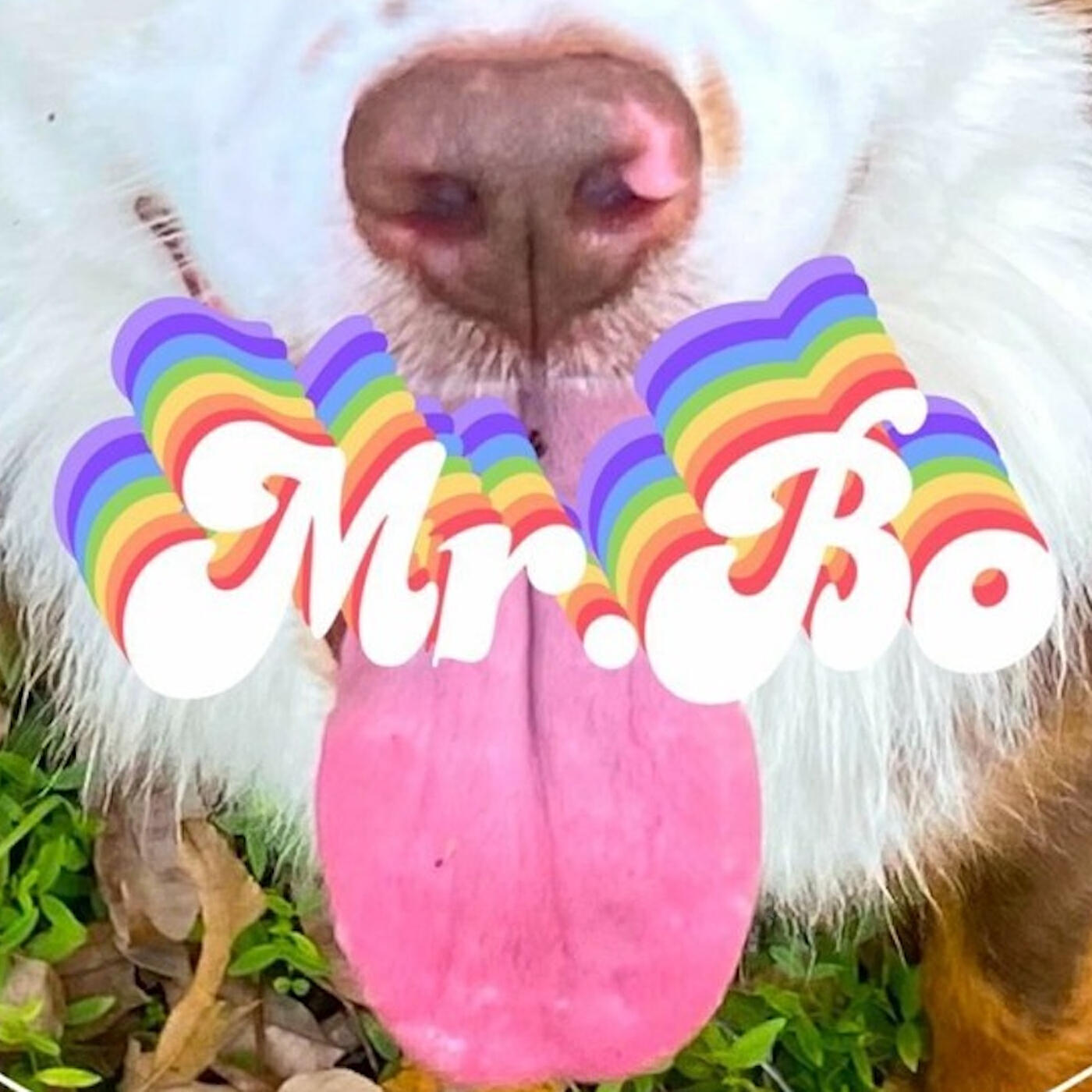 Релиз Mr. Bo