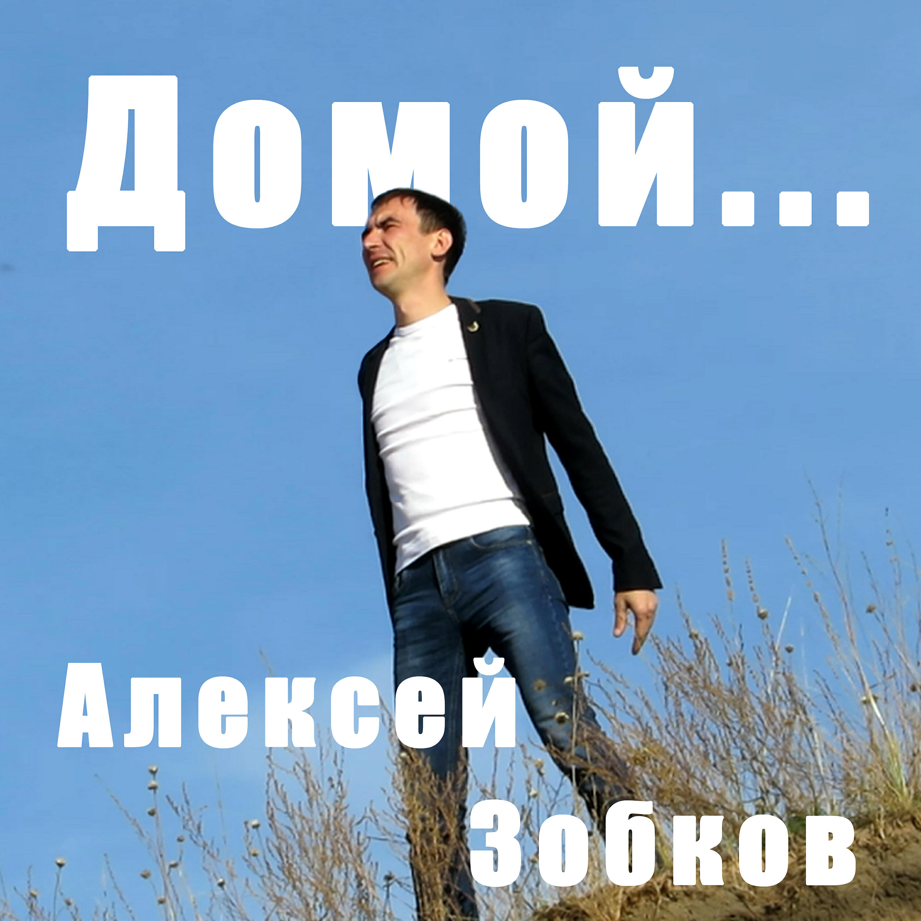 Релиз Домой...