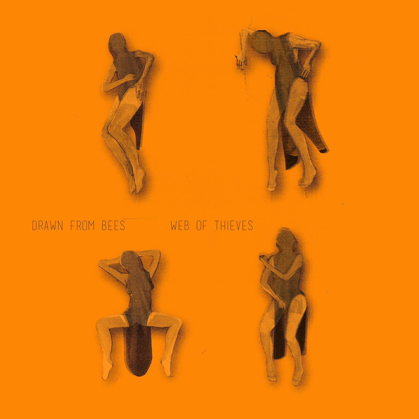 Релиз Web of Thieves