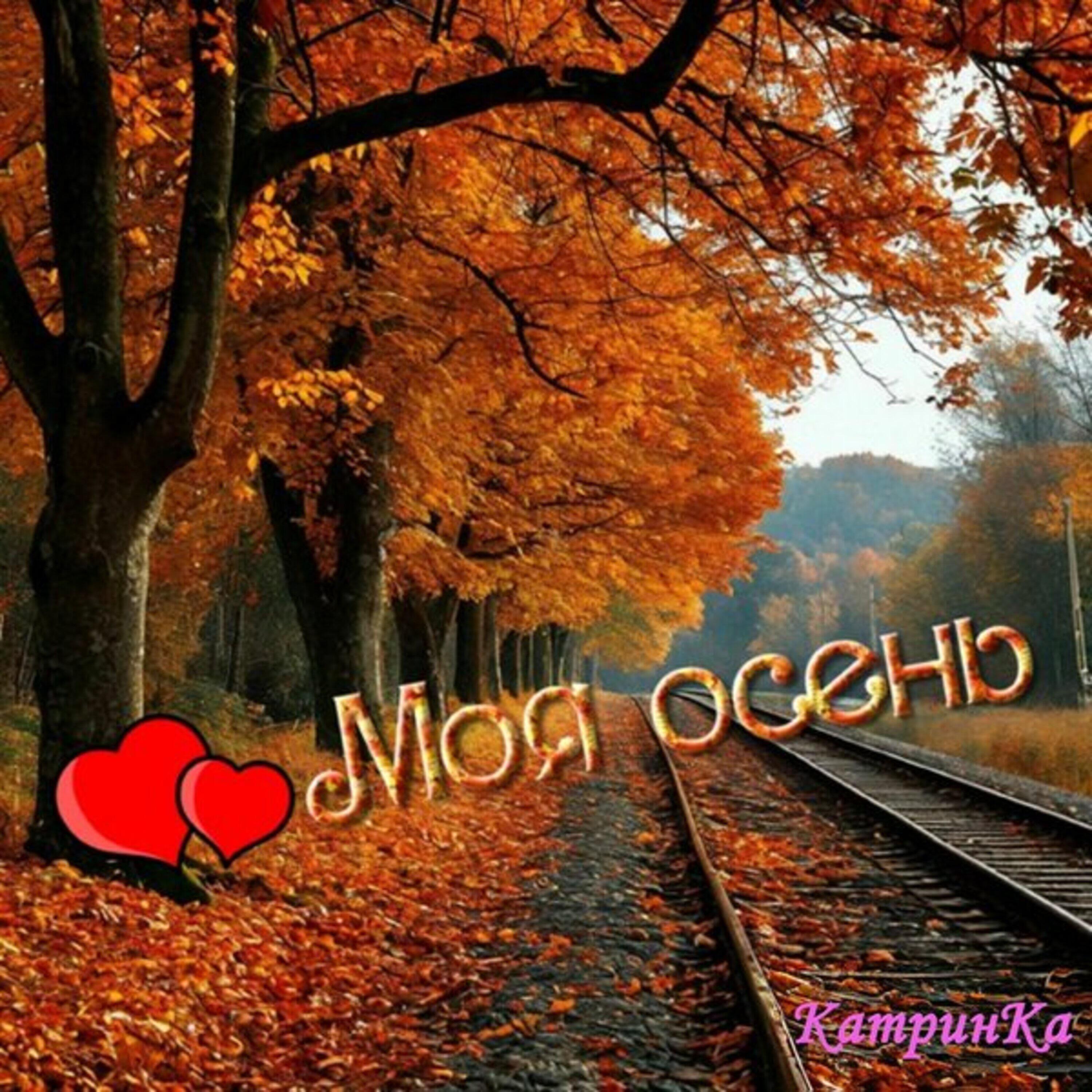 Релиз Моя осень