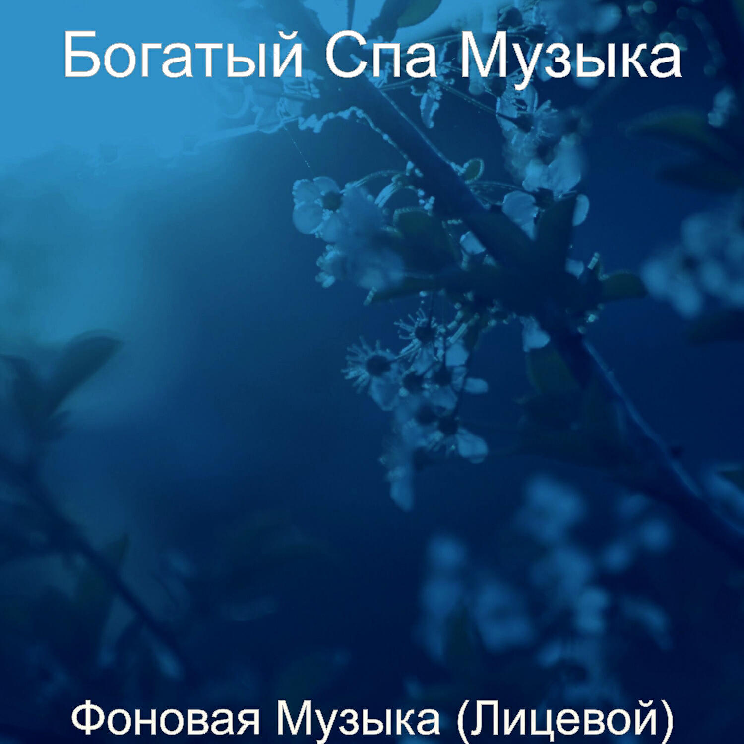 Релиз Фоновая Музыка (Лицевой)