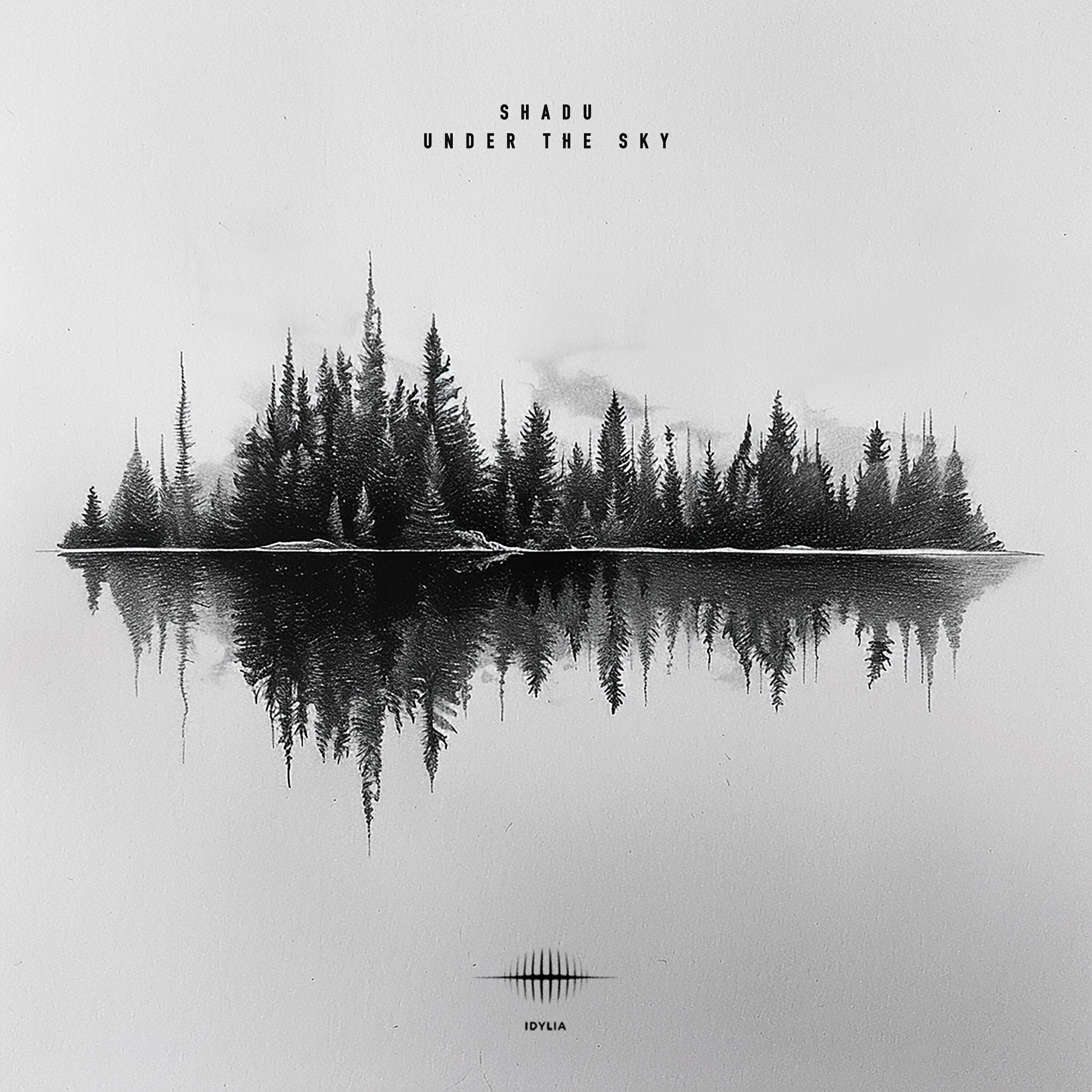 Релиз Under the Sky