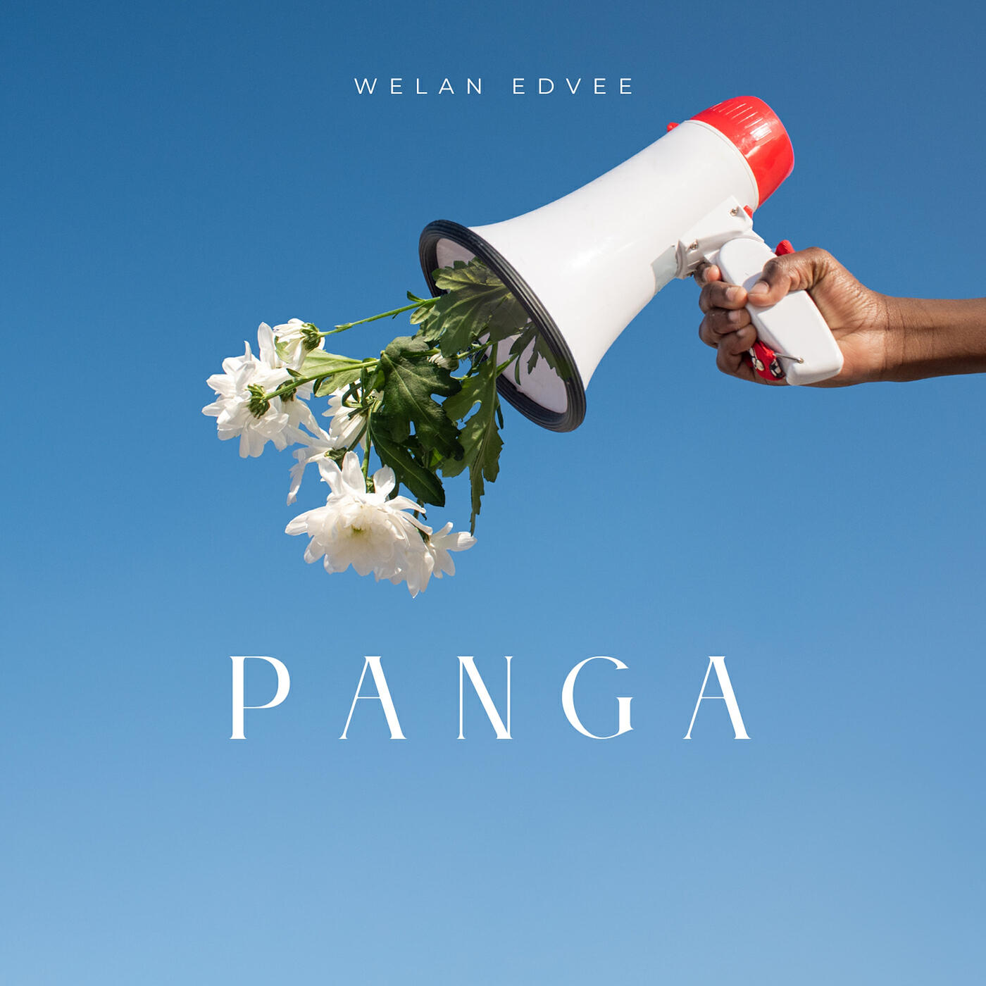 Релиз PANGA