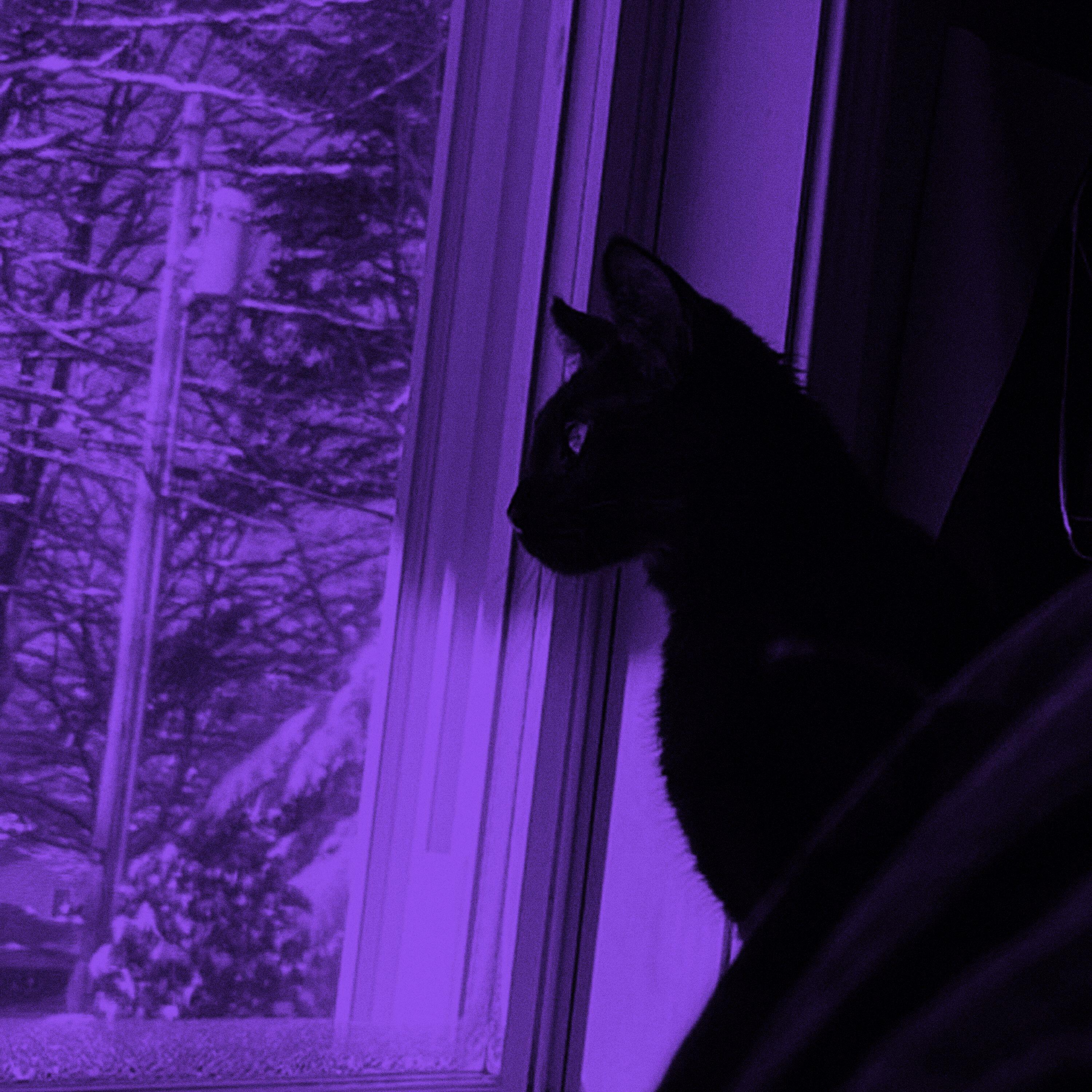Релиз open window