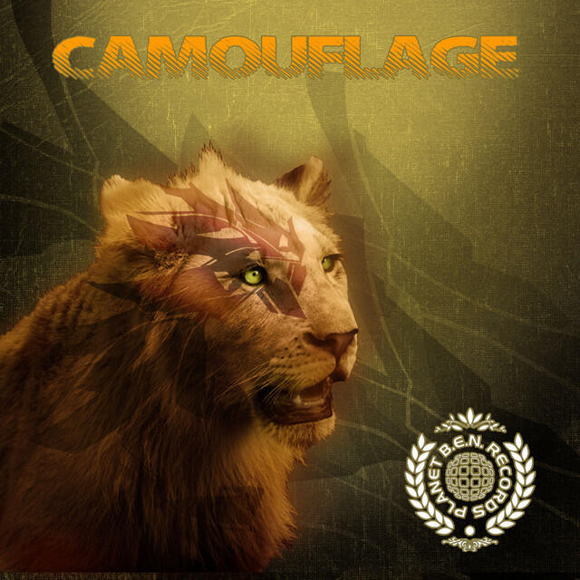 Релиз Camouflage
