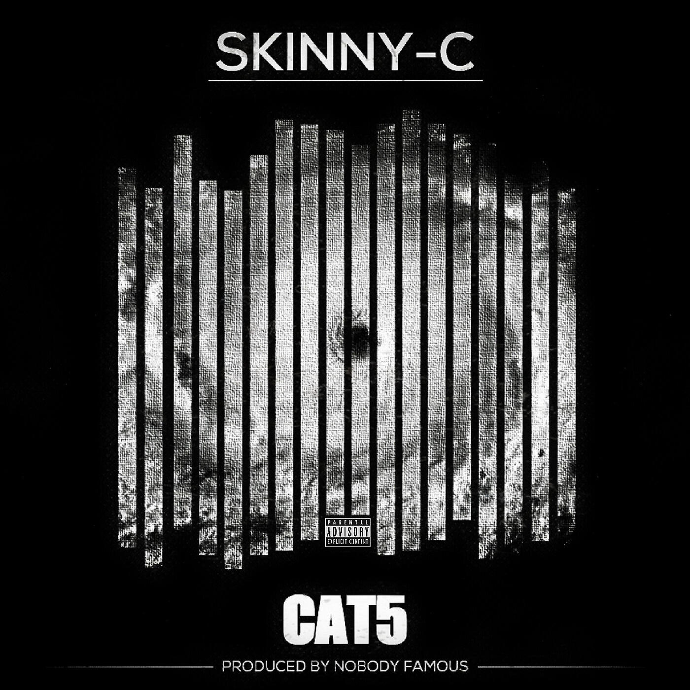 Скачать песню Skinny-C - Cat5 бесплатно в MP3 для Android и iOS