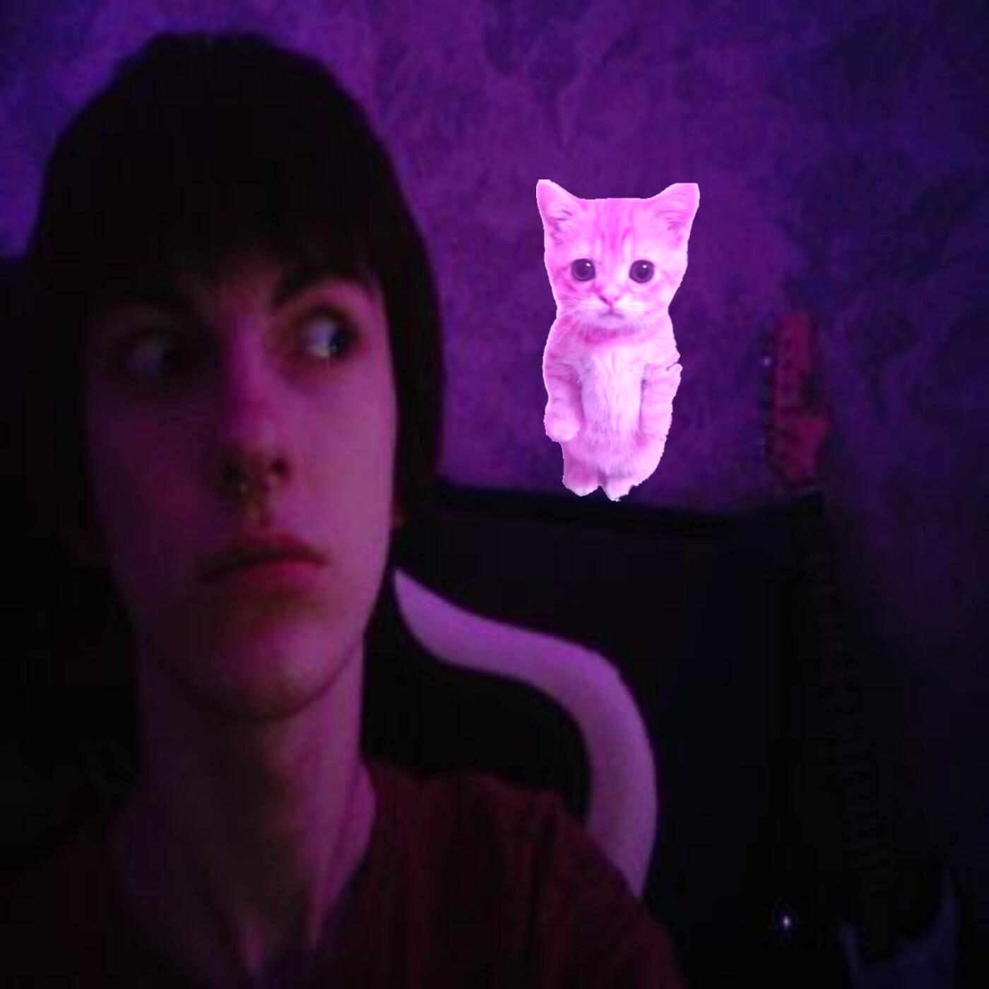 Релиз XS XDDDD