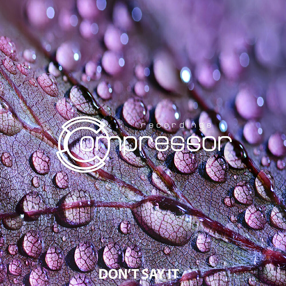 Релиз Don't Say It