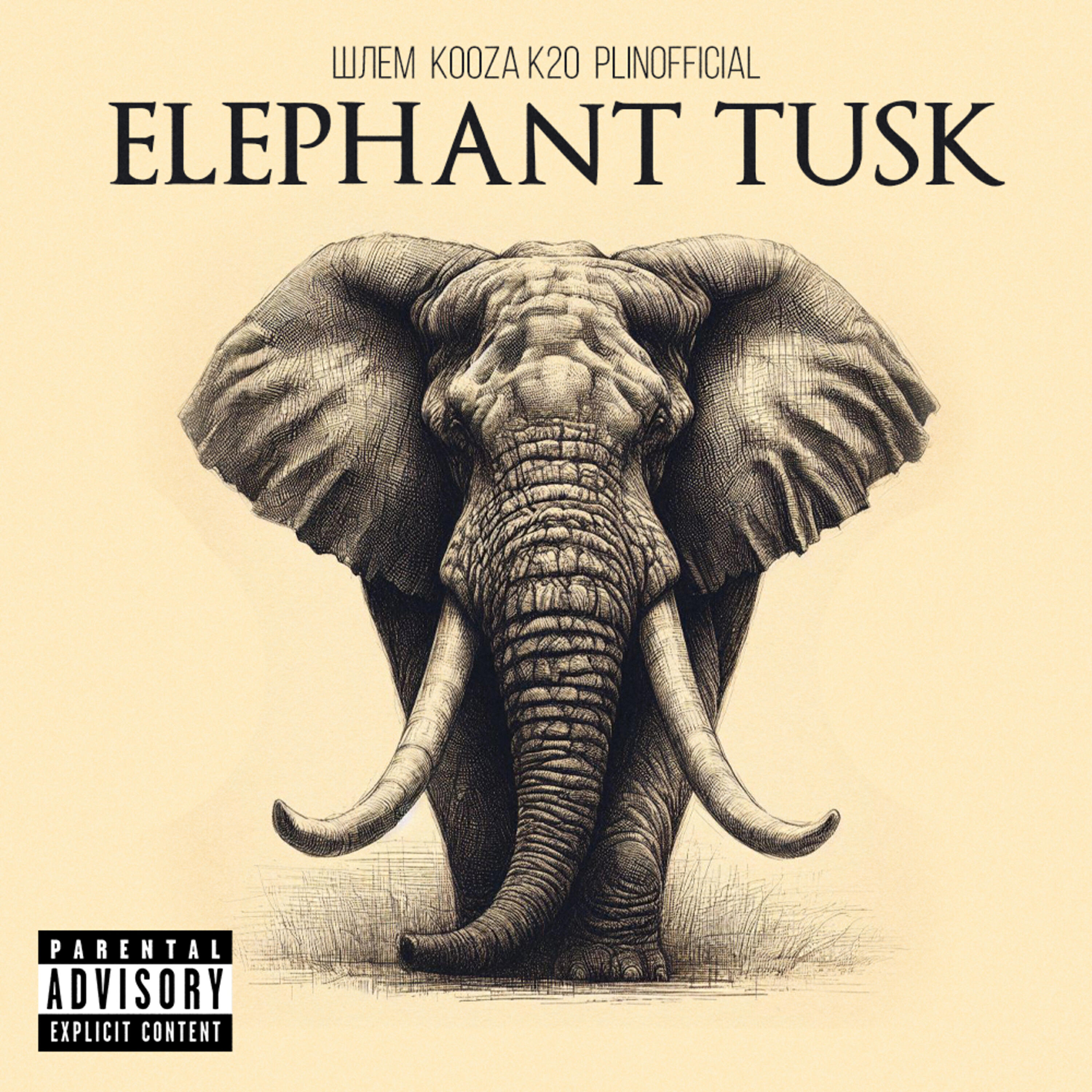 Шлем, Kooza K2O, Plinofficial - Elephant Tusk