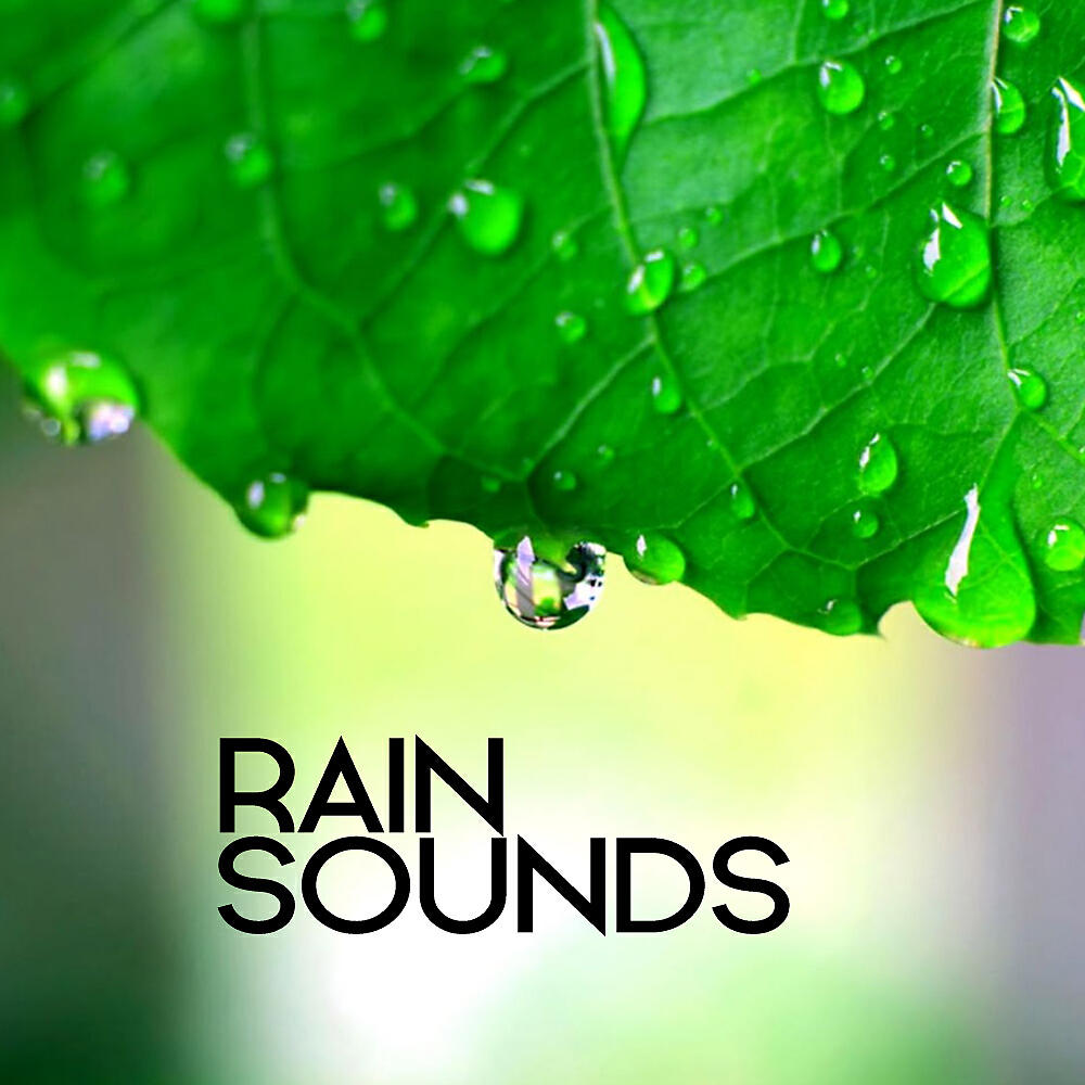 Релиз Rain Sounds