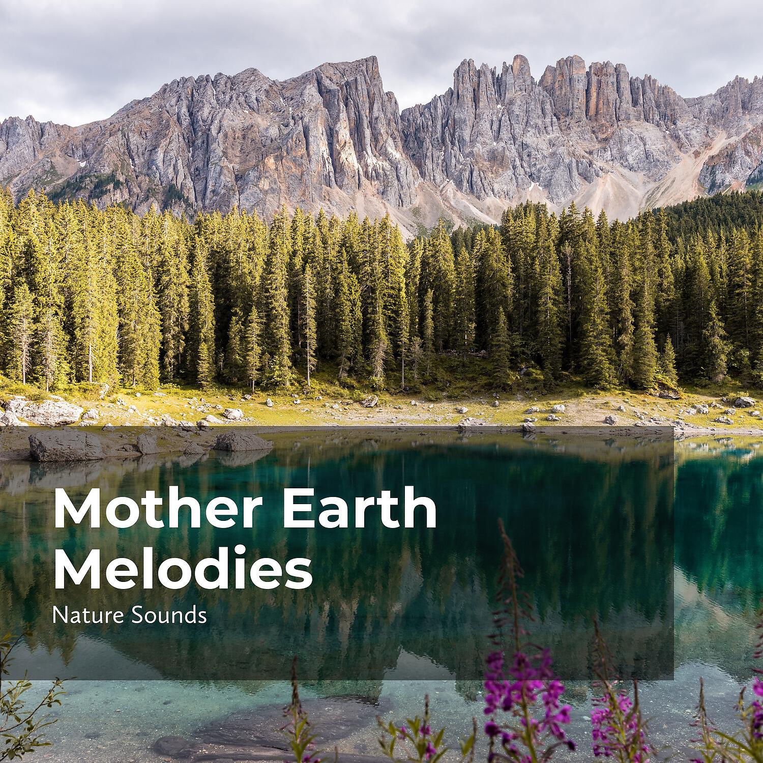 Релиз Mother Earth Melodies