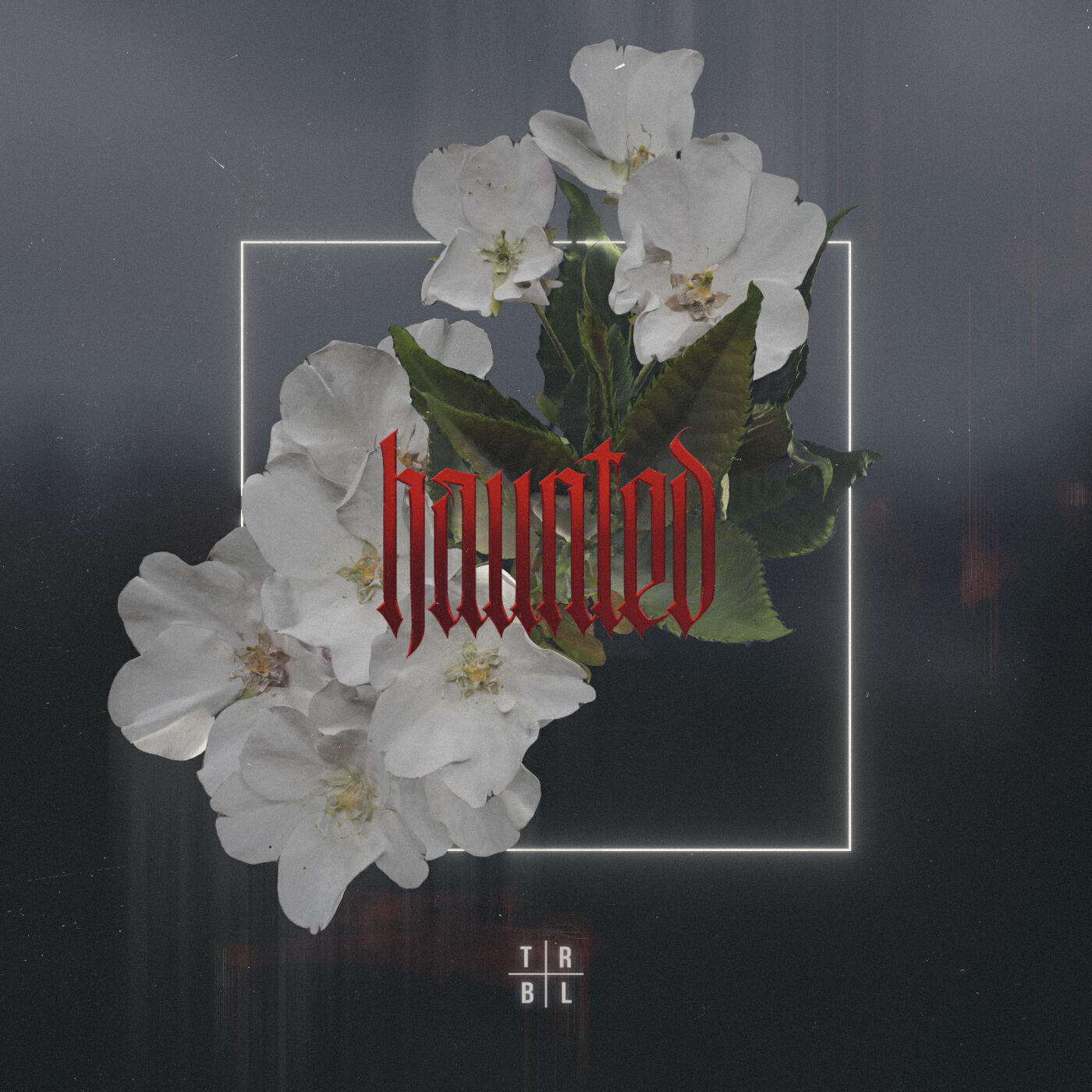 Релиз haunted
