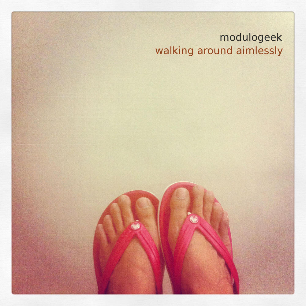 Modulogeek