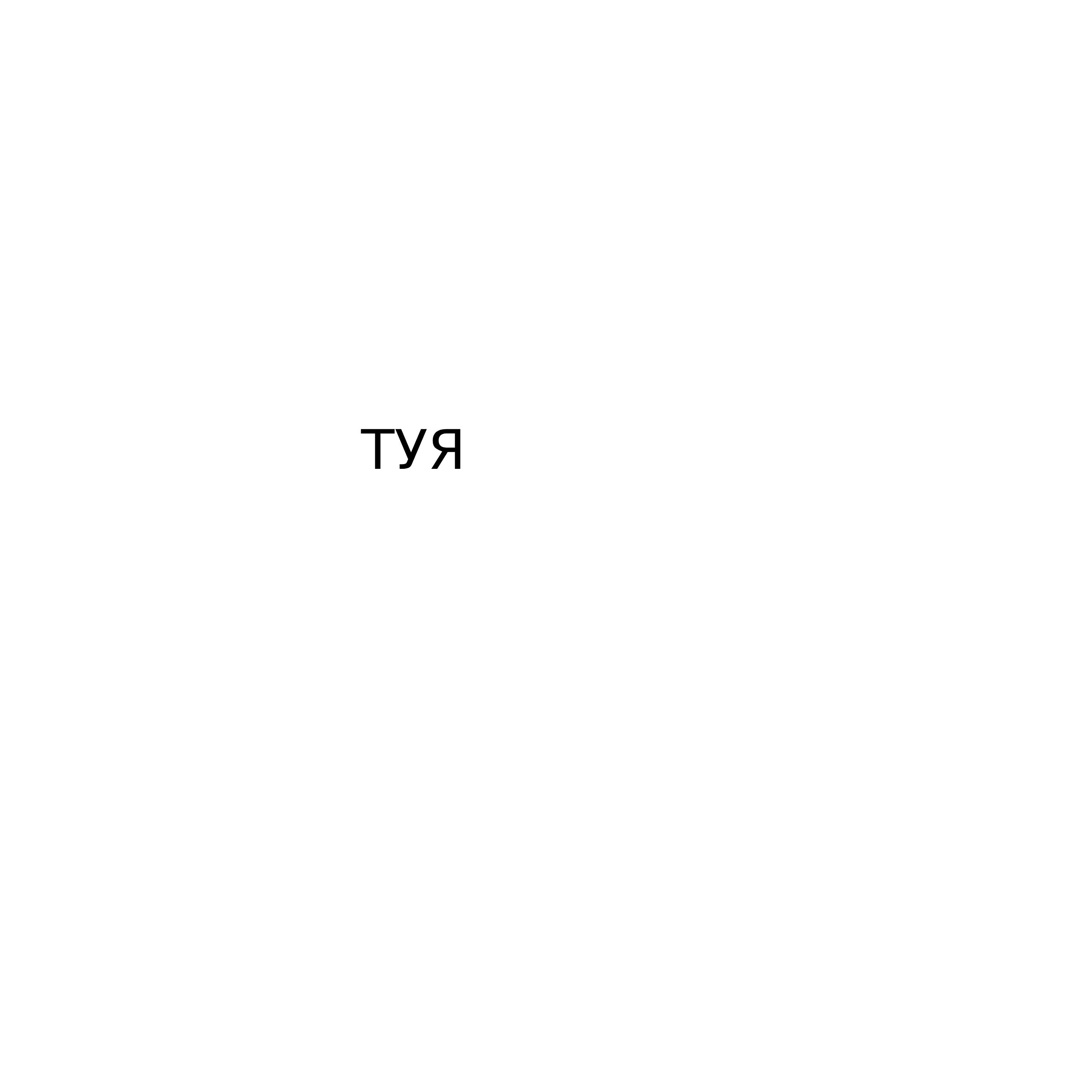 Релиз Туя