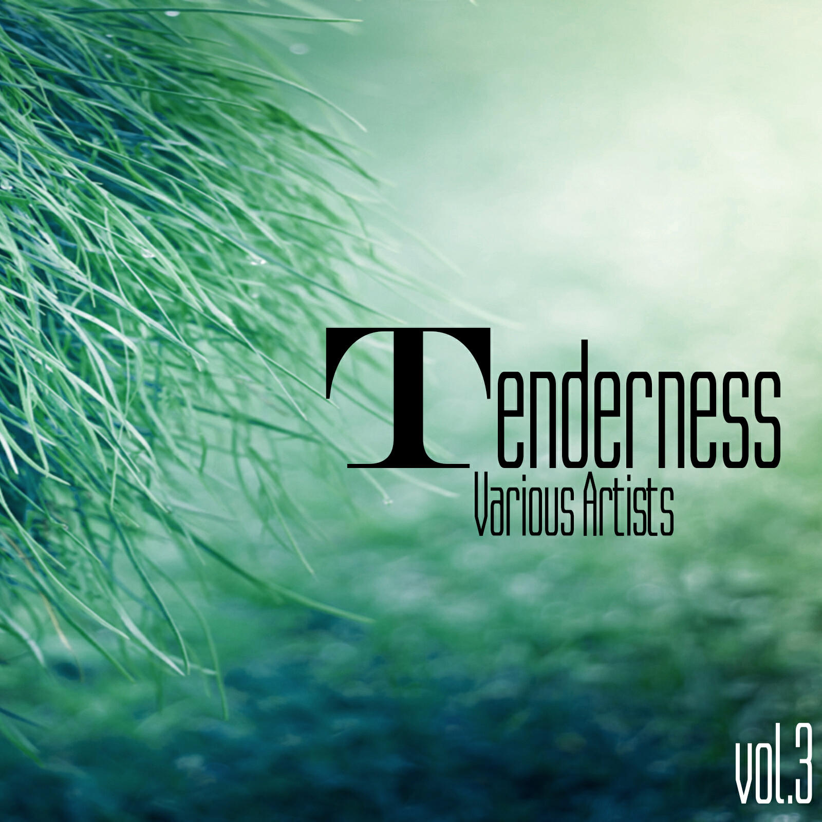 Релиз Tenderness, Vol. 3