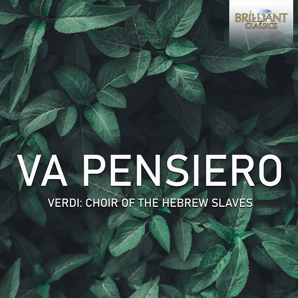 Релиз Va Pensiero