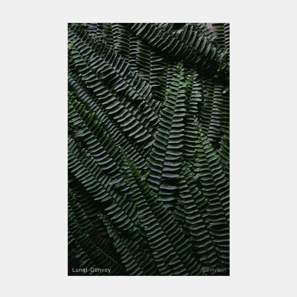 Релиз Sannyāsin
