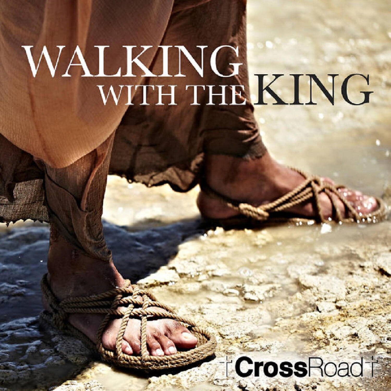 Релиз Walking with the King