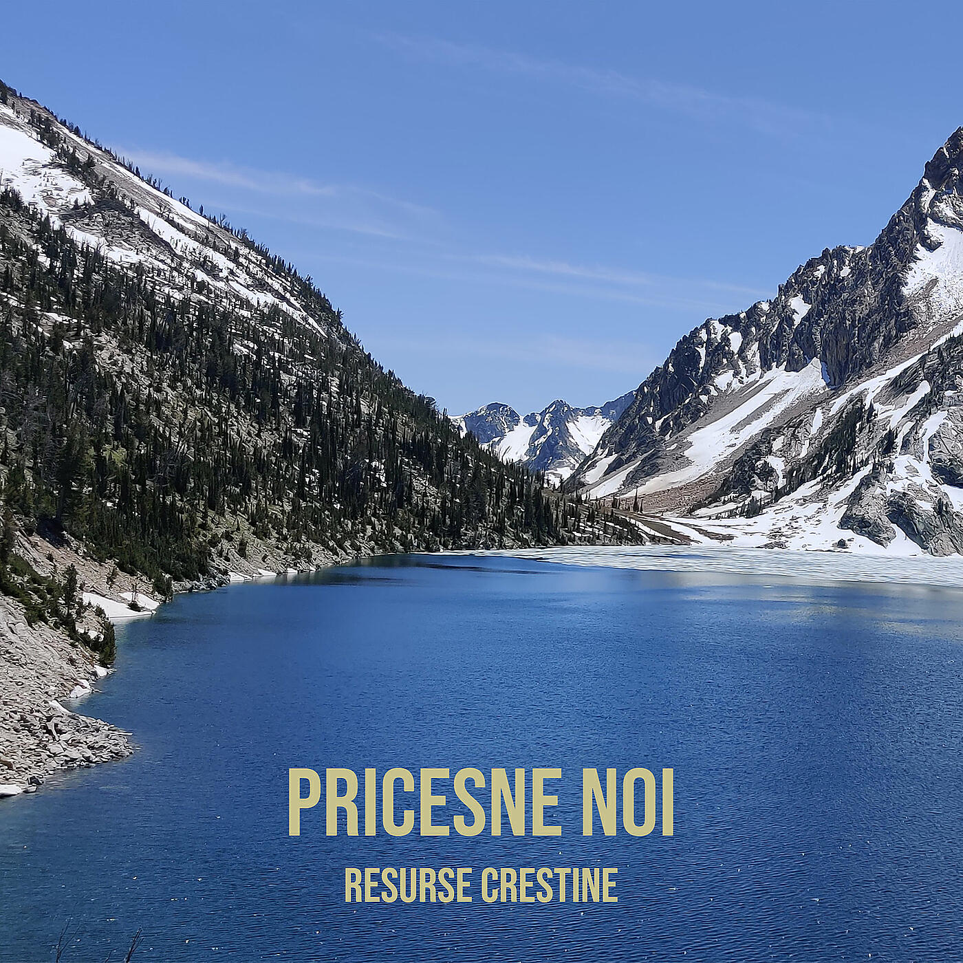 Релиз Pricesne Noi