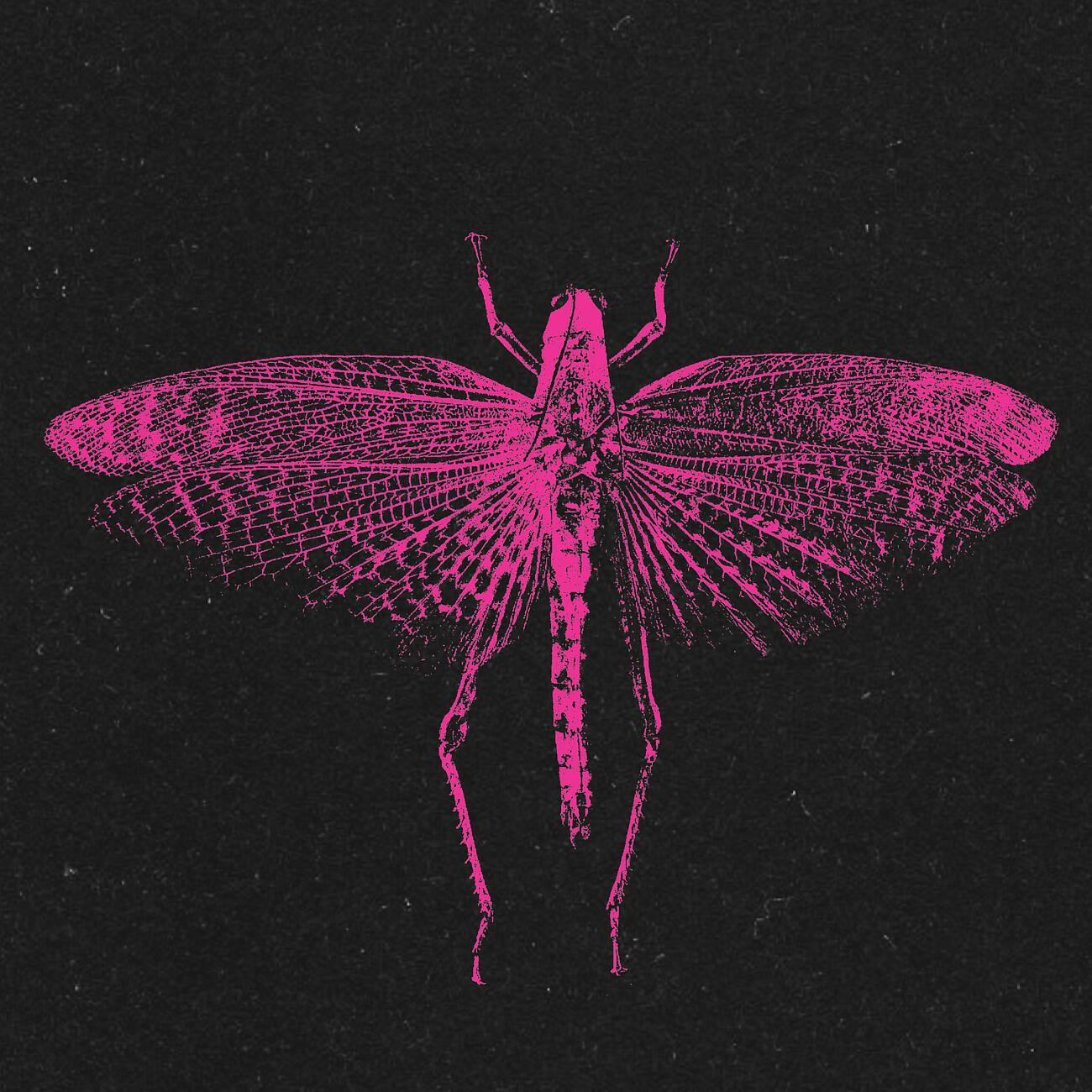 Релиз VOOO EP