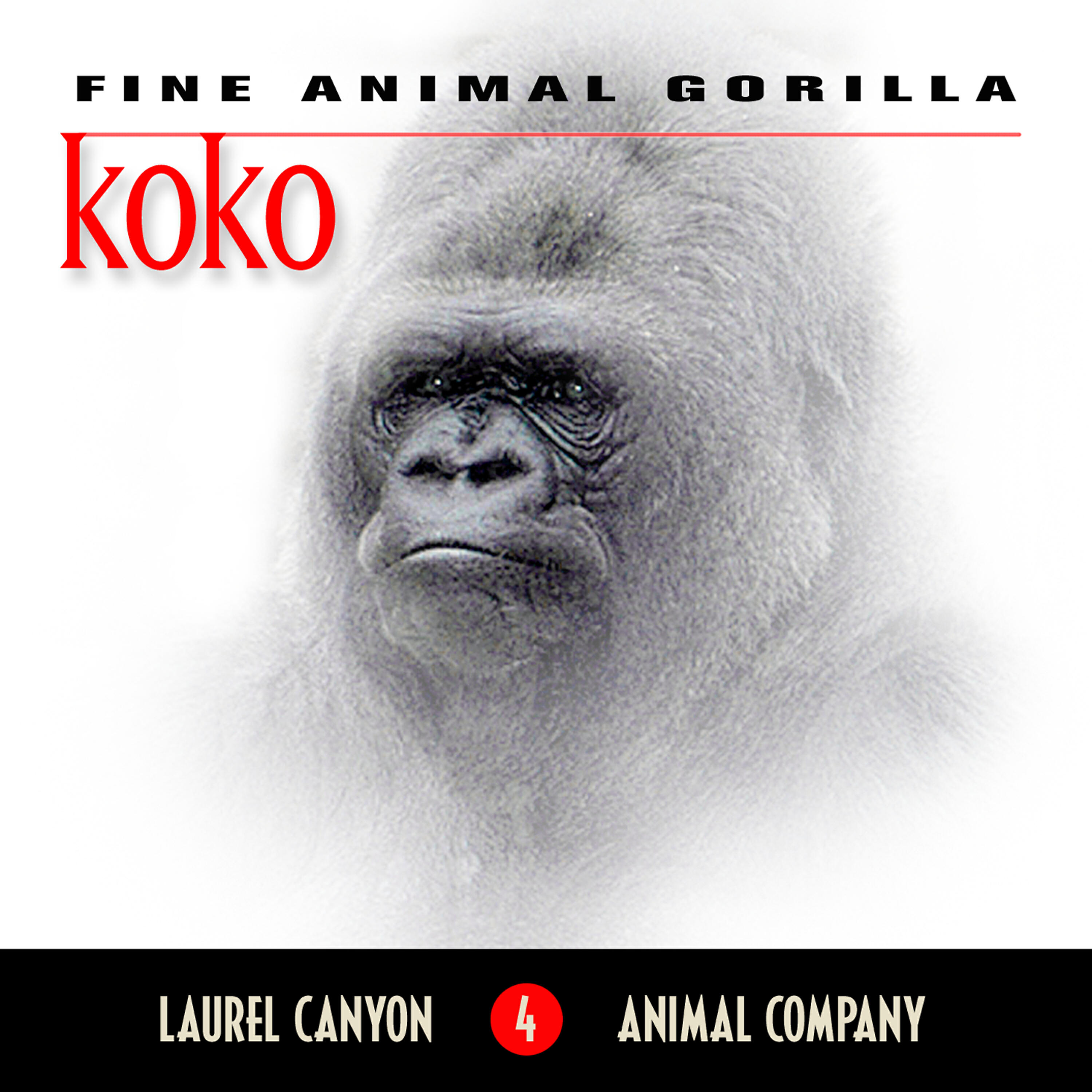 Релиз Koko - Fine Animal Gorilla