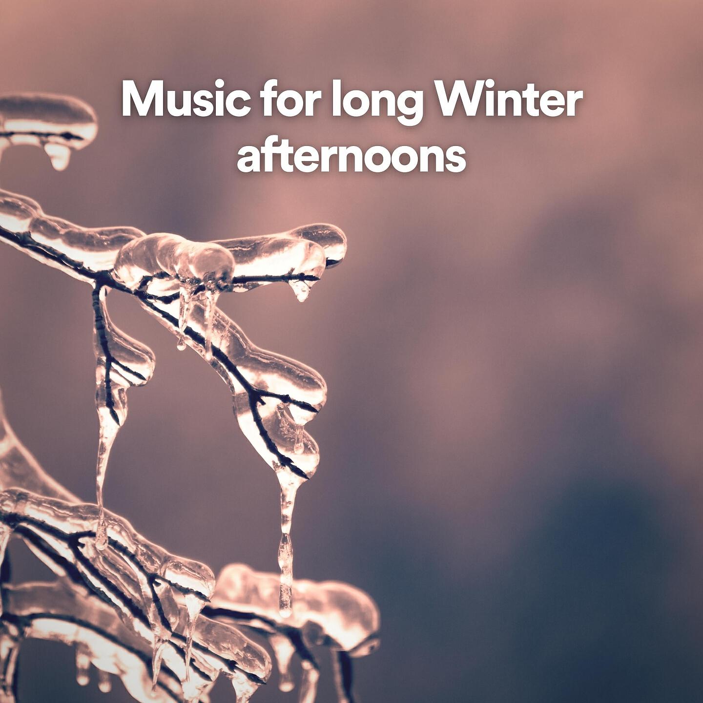 Релиз Music for long Winter afternoons