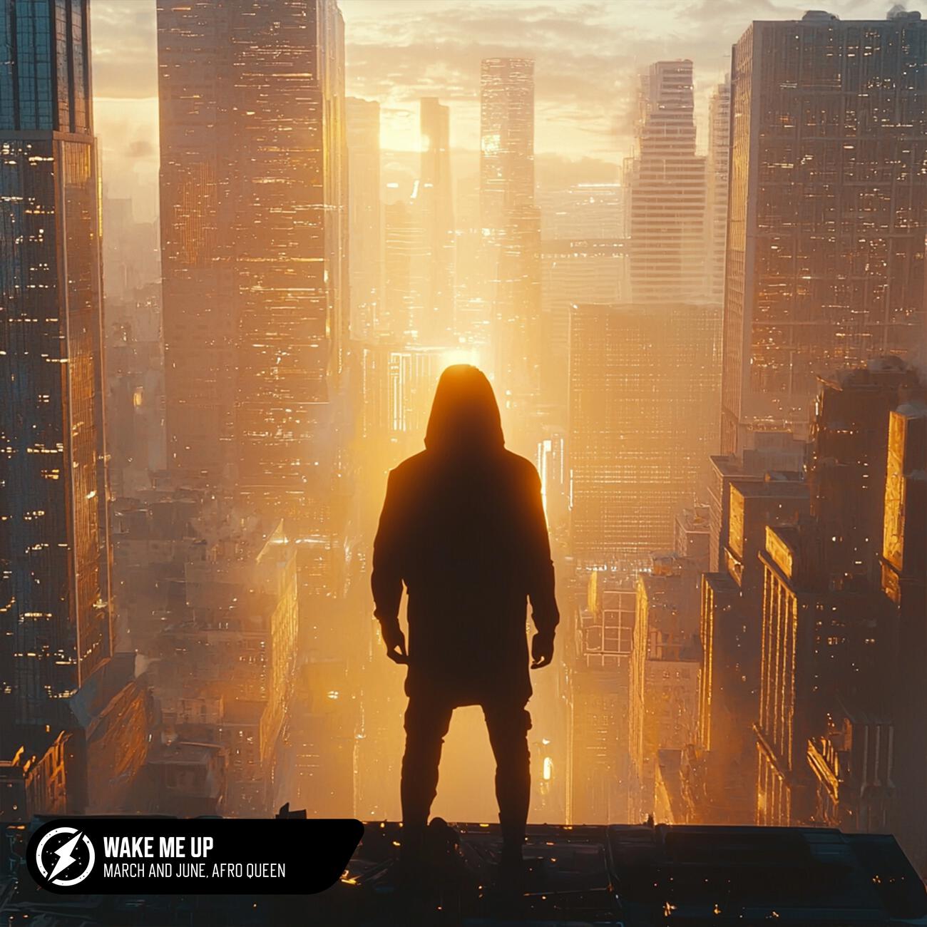 Релиз Wake Me Up