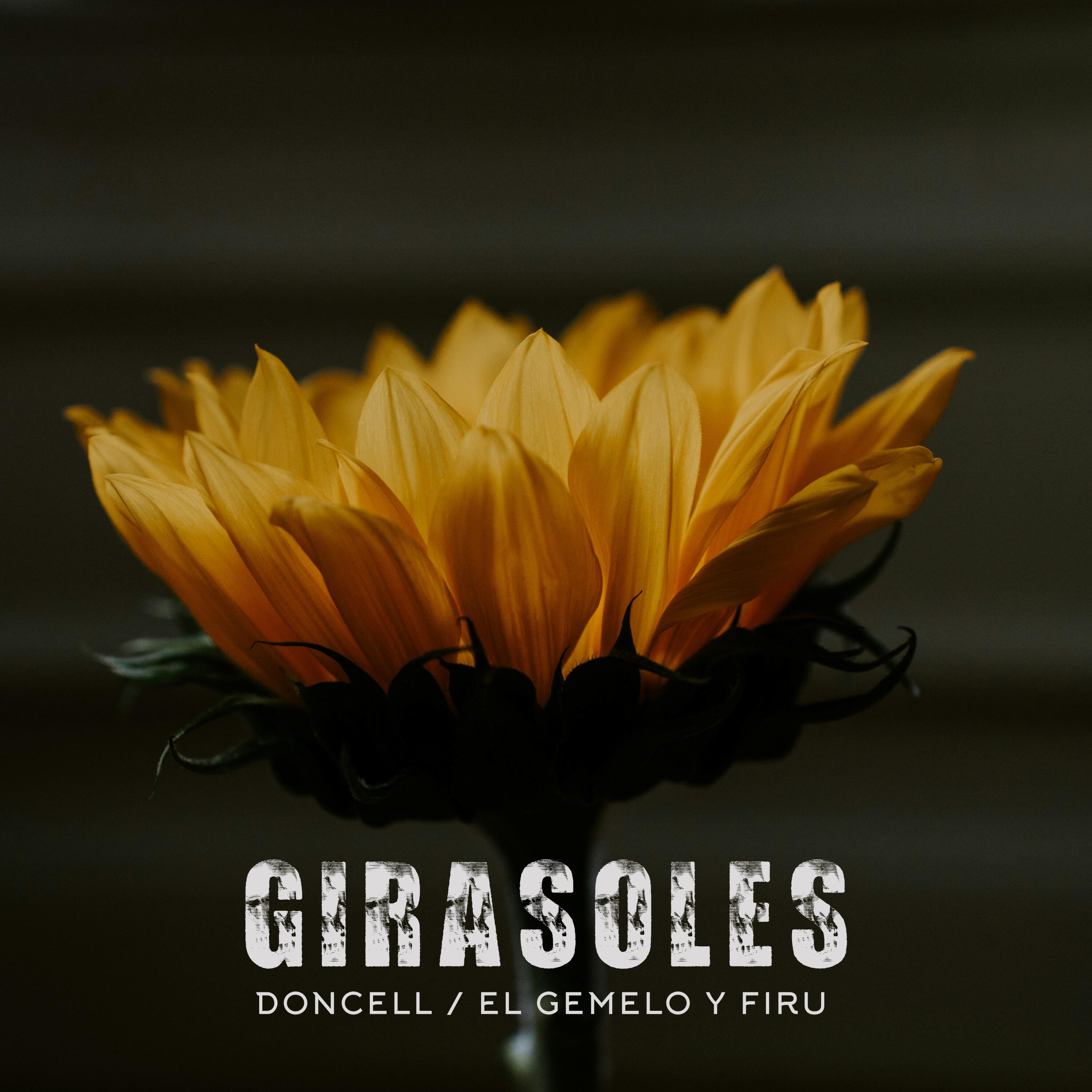 Релиз Girasoles