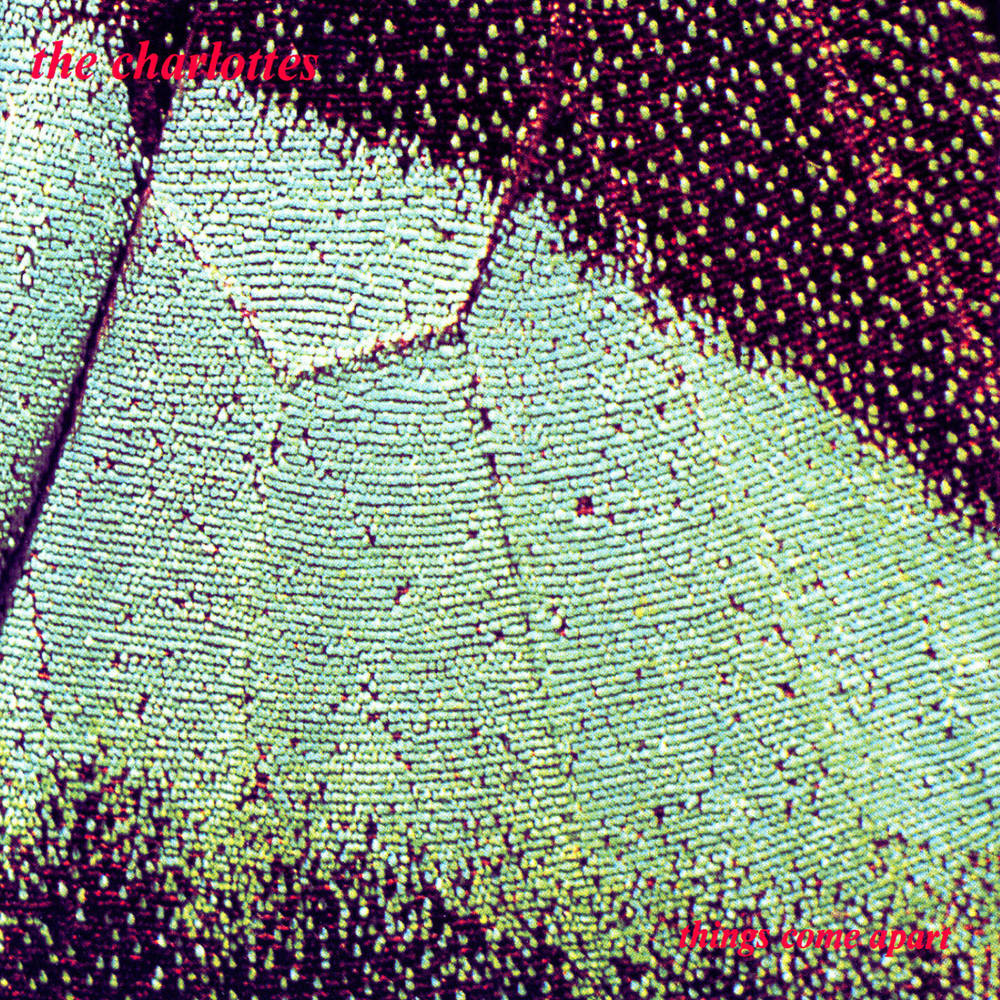 Релиз Things Come Apart