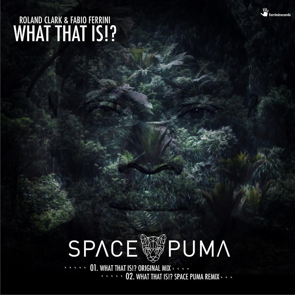 Fabio Ferrini & Roland Clark