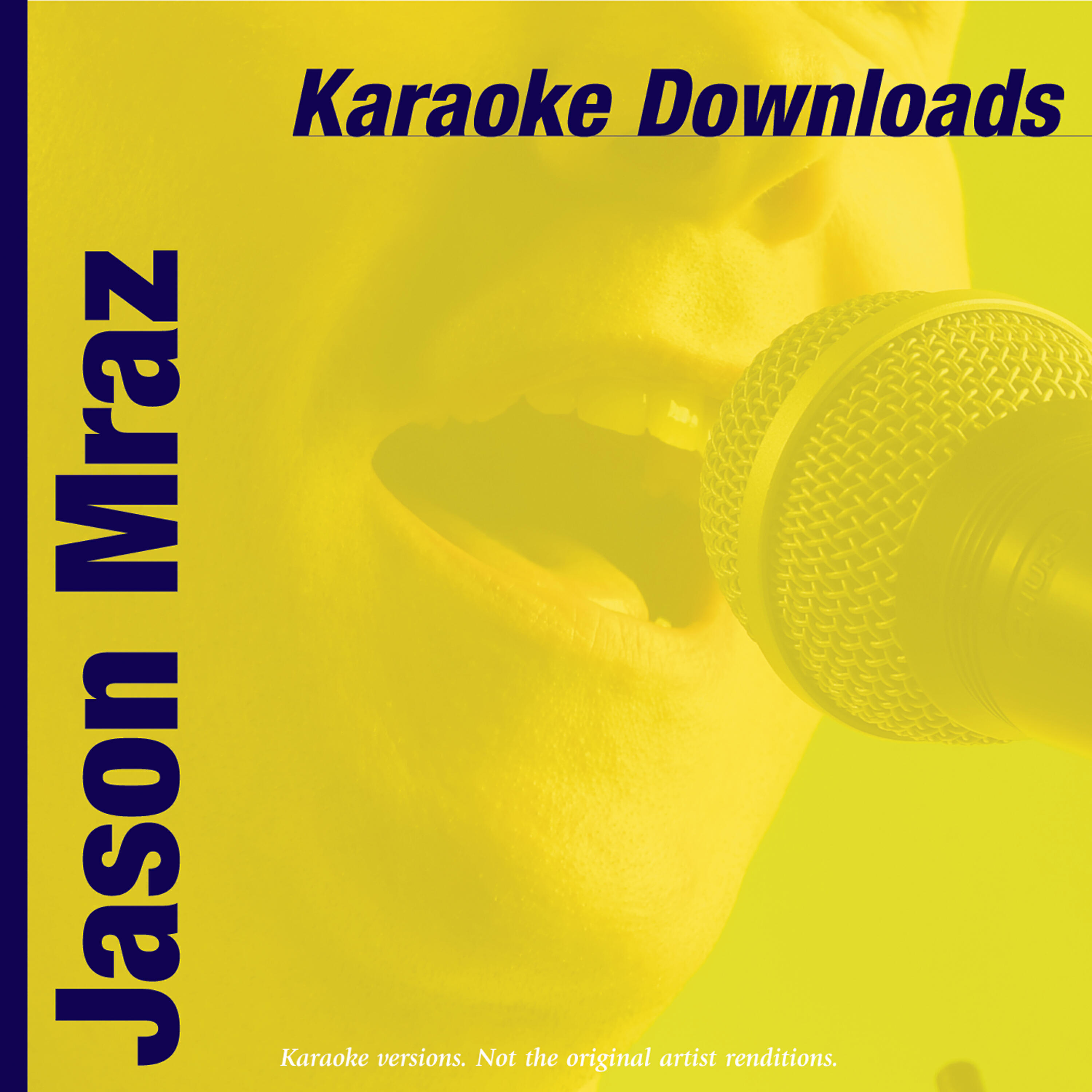 Релиз Karaoke Downloads - Jason Mraz