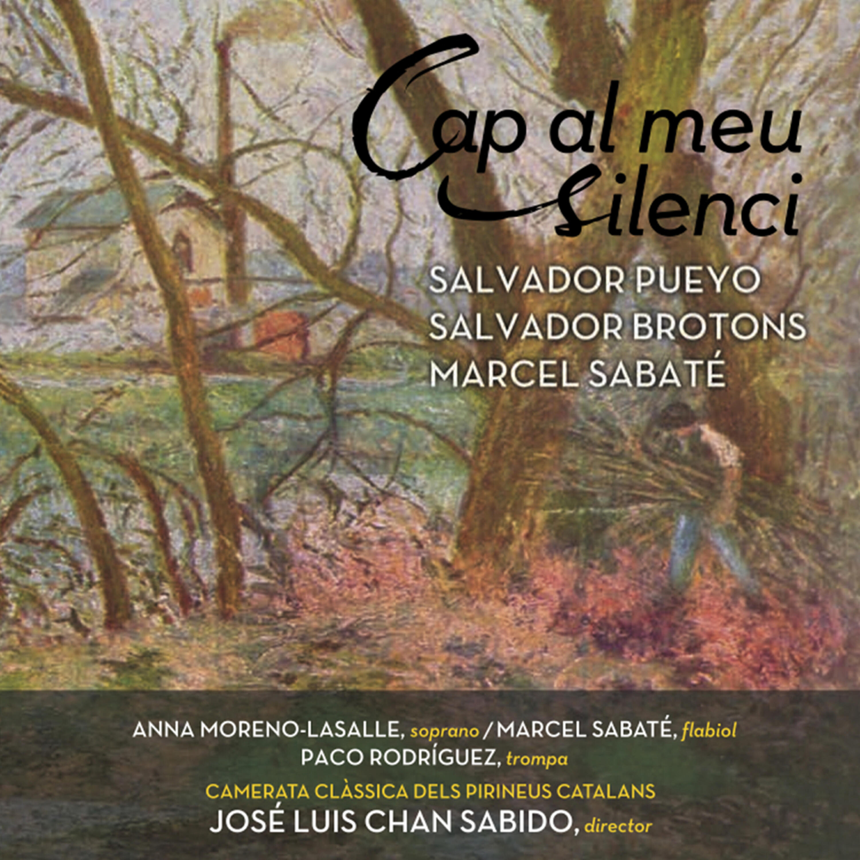 Camerata Clàssica dels Pirineus Catalans