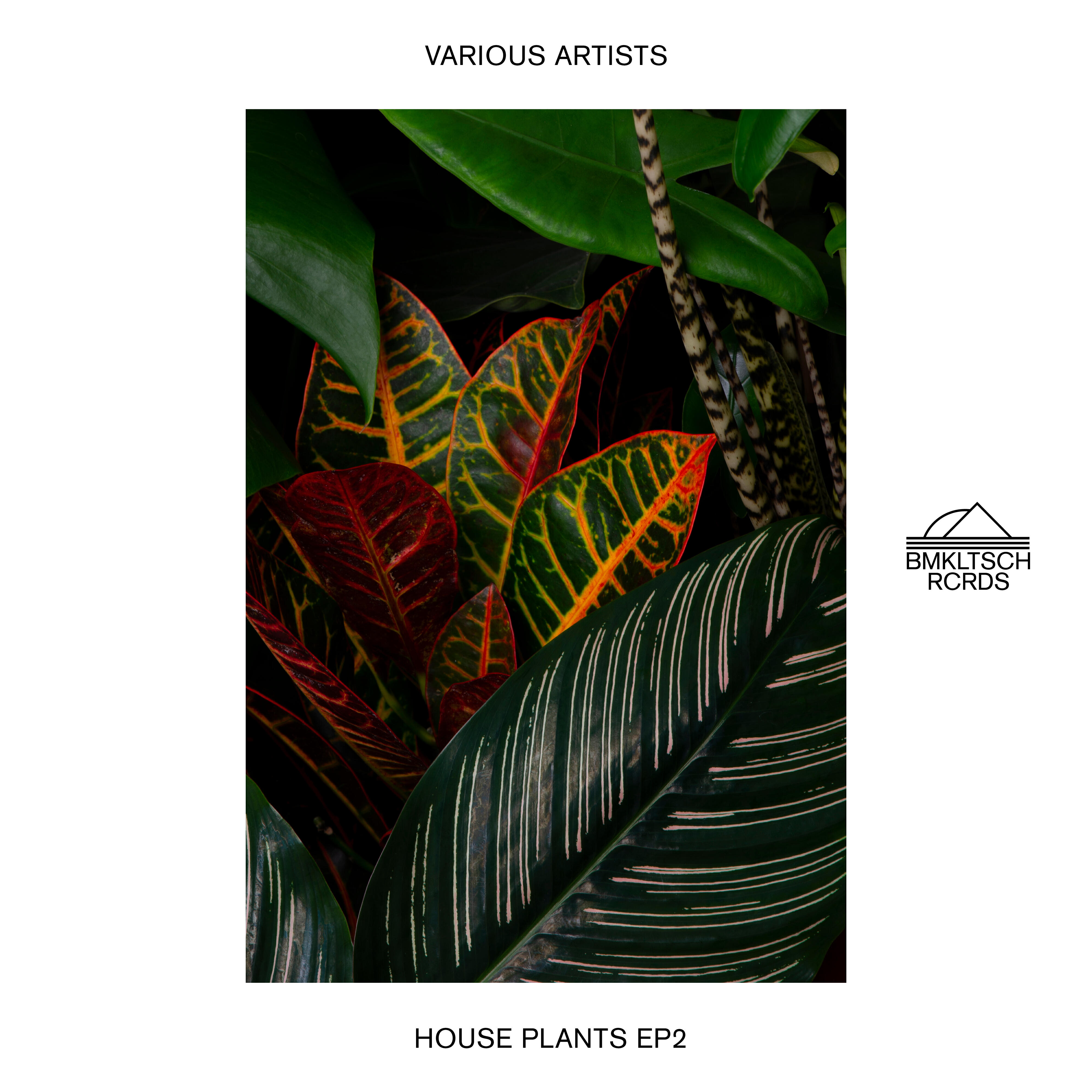 Релиз House Plants 2 - EP