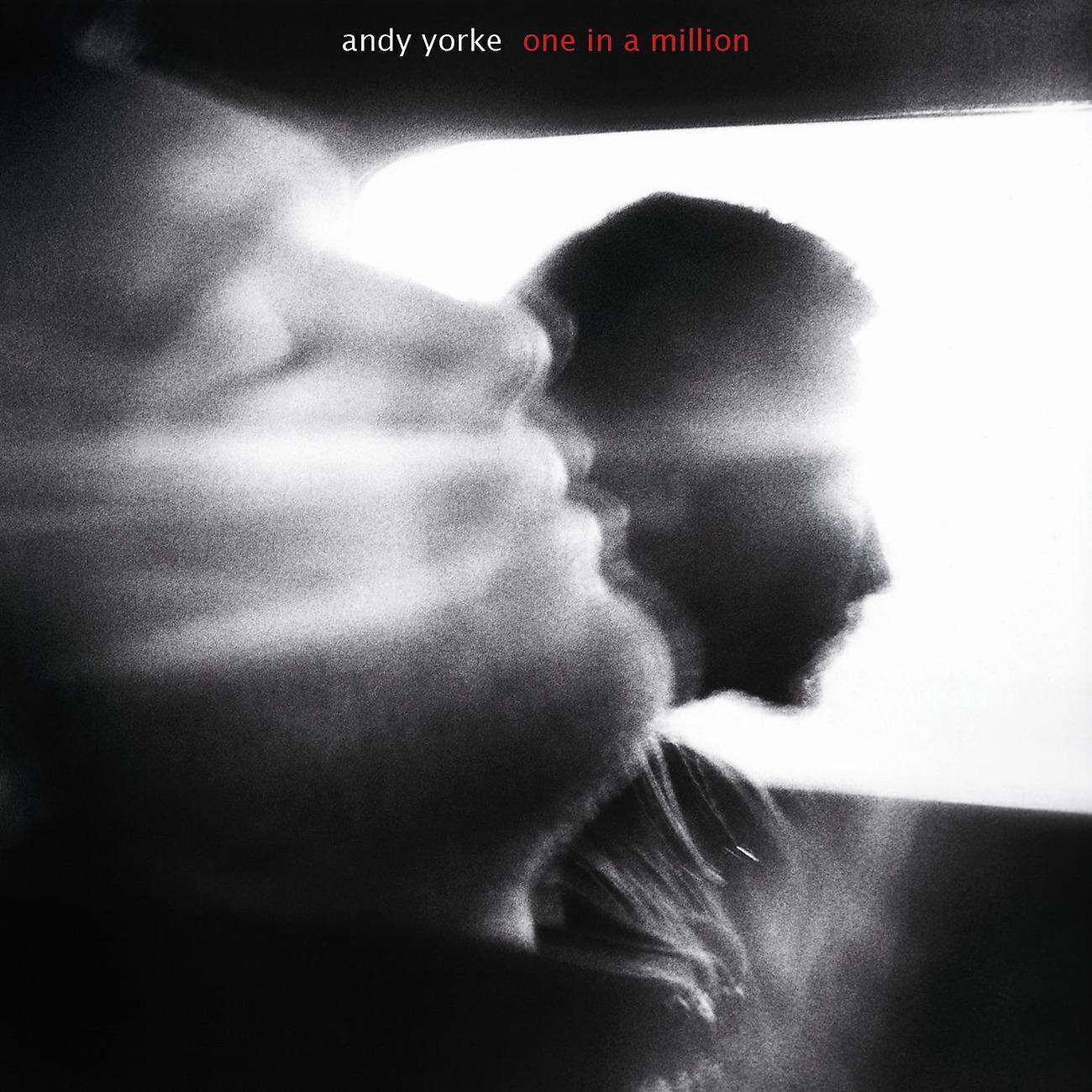Andy Yorke